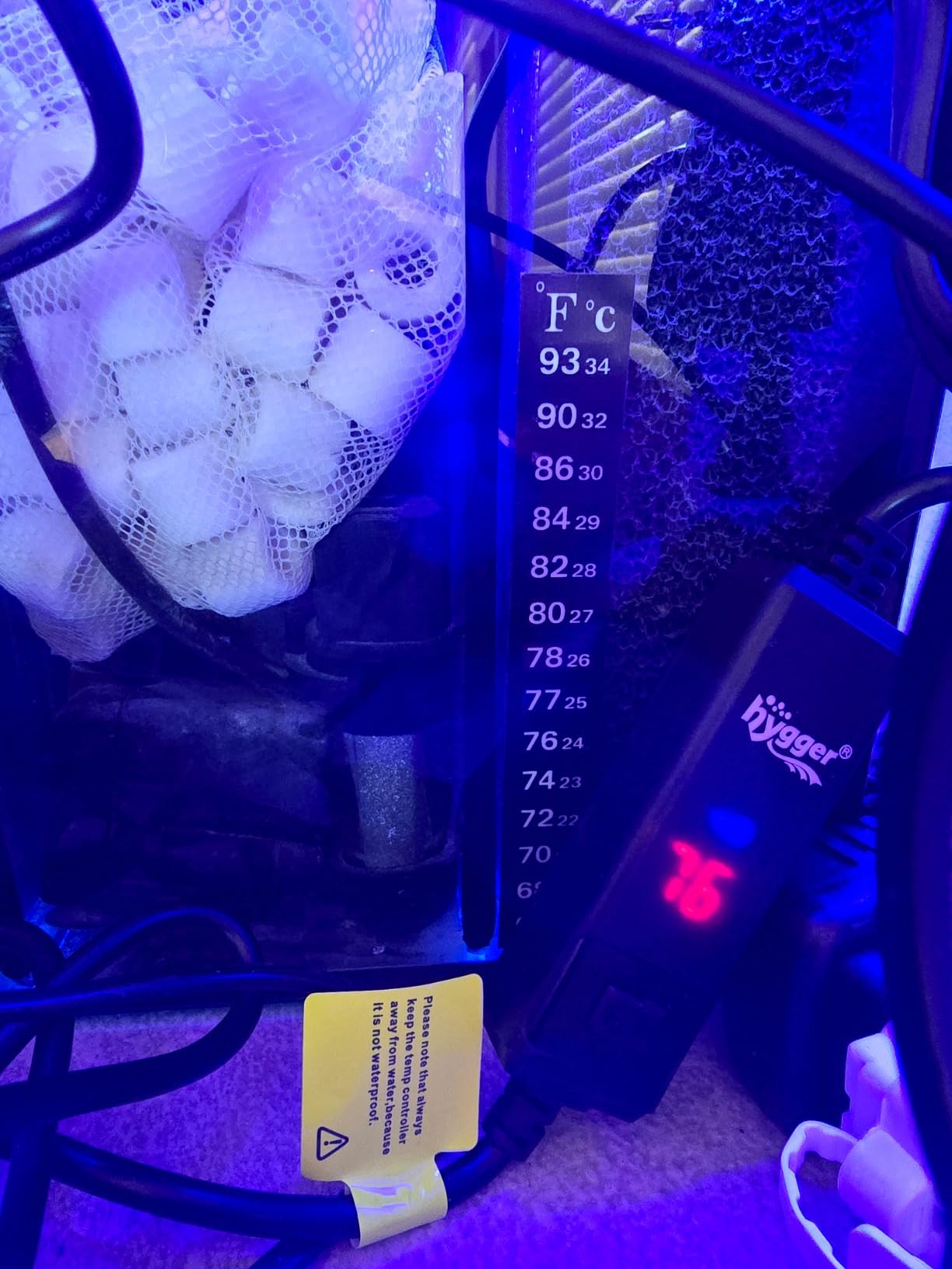 Aquatop 13.5 Gallon Bow Front Glass Aquarium Kit with Filter and LED Lighting - All in One Desktop Fish Tank, Ideal for Freshwater and Saltwater, BFK-13 customer photo 1