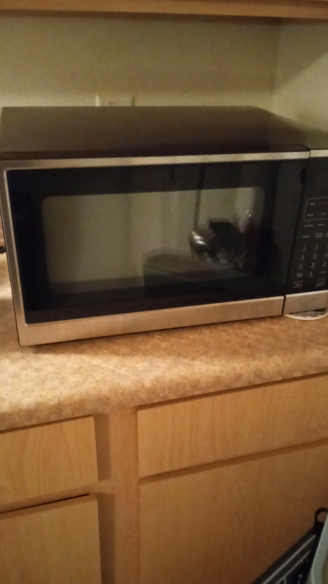 West Bend 3-in-1 Microwave Air Fryer Convection Oven 1000-Watts with 10 Power Levels and 12 Presets, Speed Defrost, Electronic Control Panel and Glass Turntable, 1.3-Cu.Ft., Stainless Steel customer photo 2