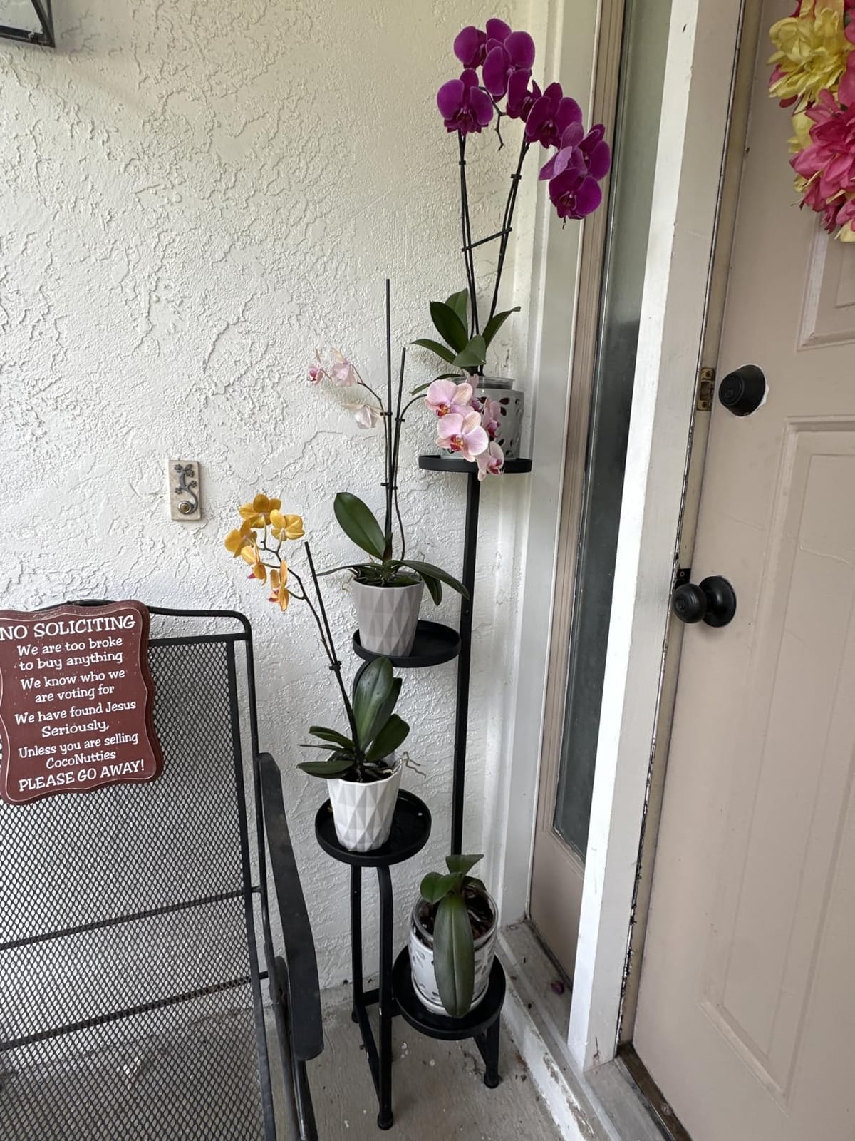 Bamworld Tall Plant Stand Indoor Outdoor Corner Metal Flower Pot Stands | 4 Tier Heavy Duty Plant Shelf for Multiple Plants Plant Table for Patio Garden Balcony Living Room Bedroom(Patent Design) customer photo 2