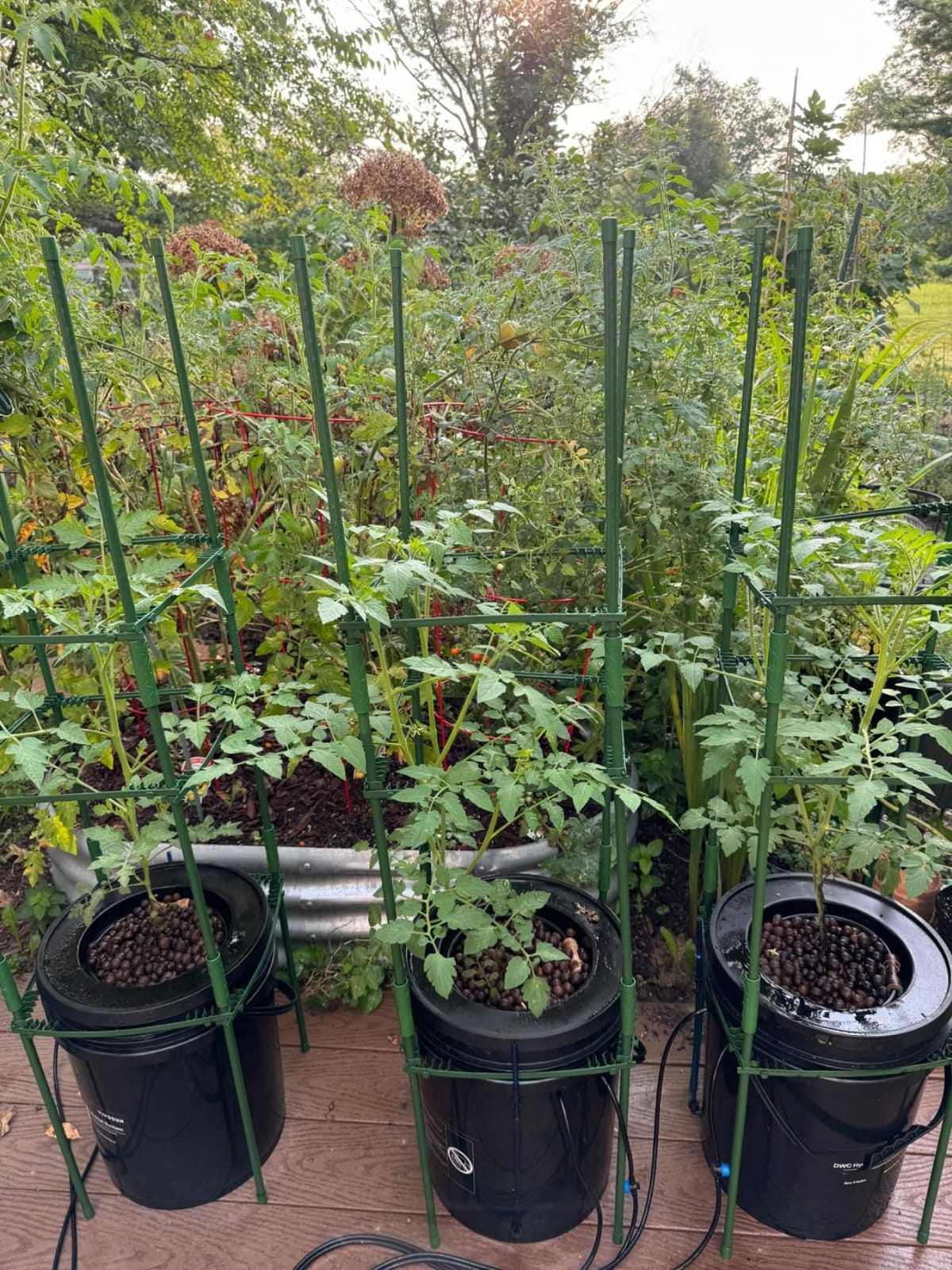 VIVOSUN DWC Hydroponics Grow System with Top Drip Kit 2 Buckets customer photo 1