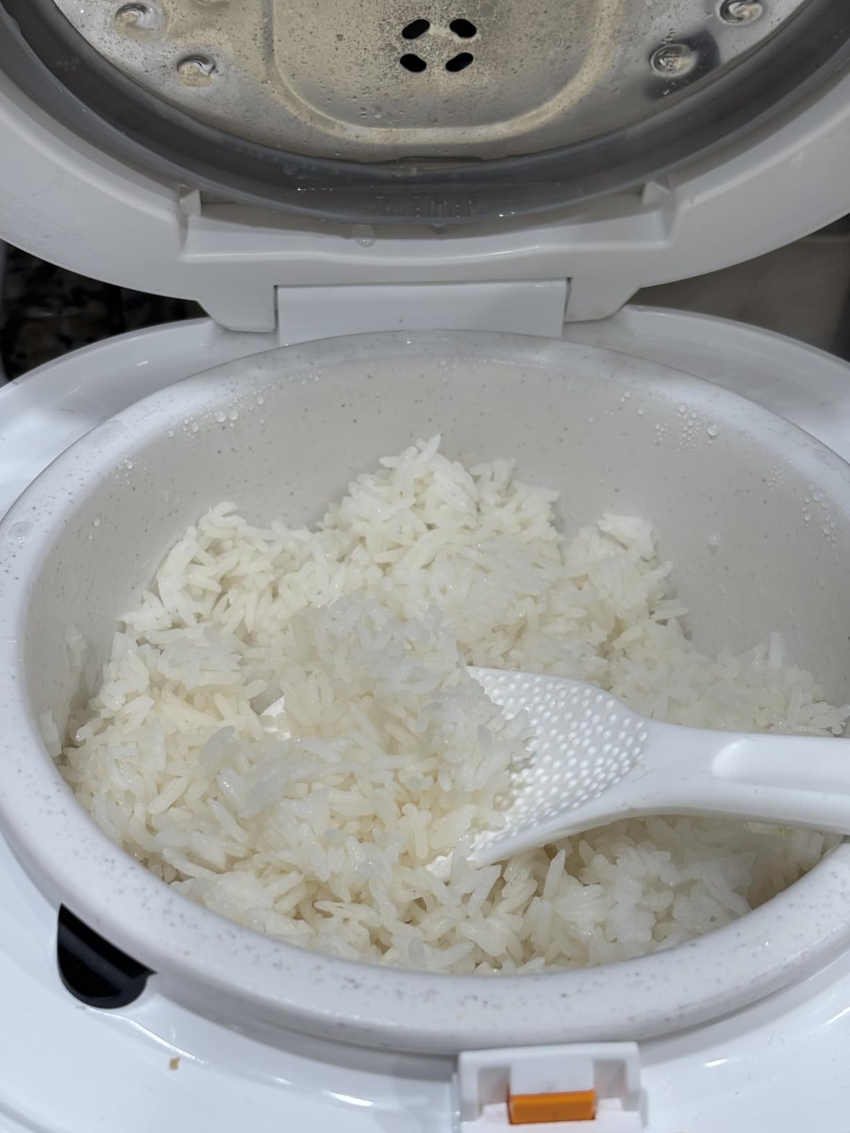 Joydeem Ceramic Rice Cooker FD20S-W, 4 Cups Uncooked Rice Cookers with Pure Ceramic Inner Pot, 24h Delay Start, 2L, White customer photo 2