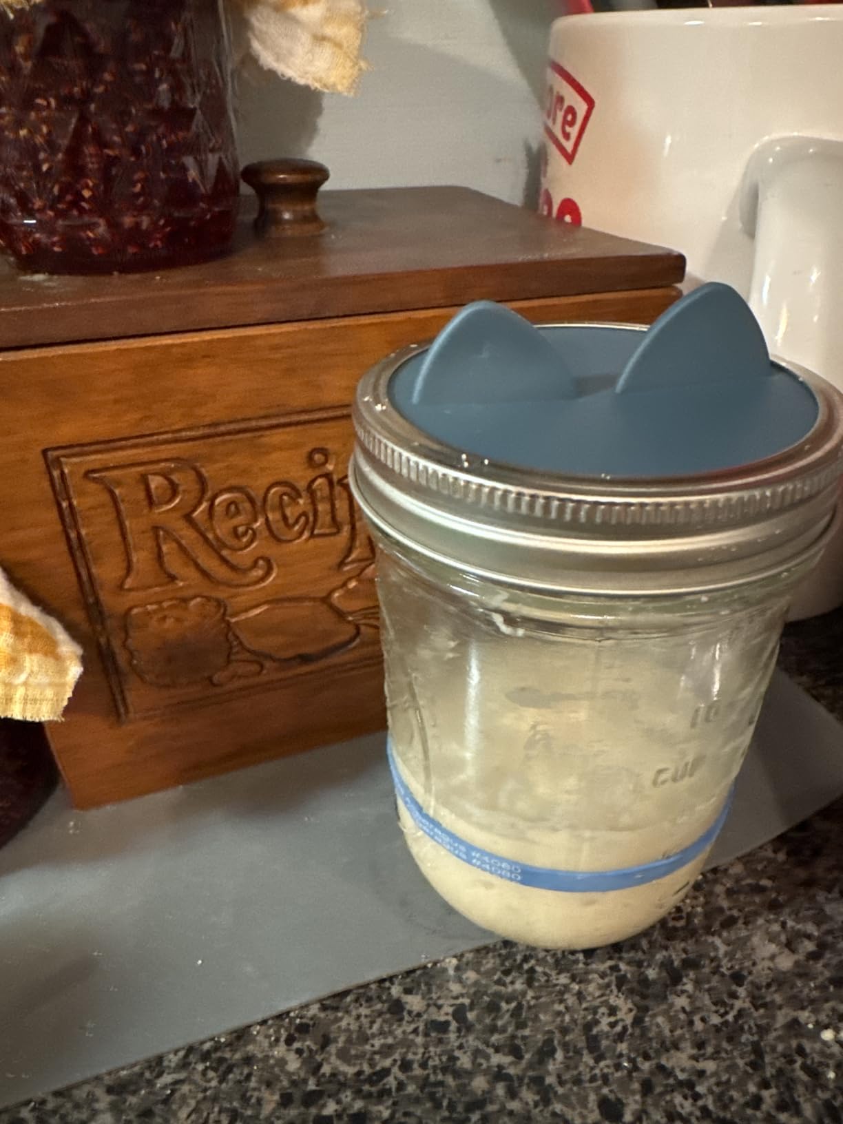 Silicone Fermentation Lids for Wide Mouth Mason Jars 4pcs - Waterless Airlock Design for Fermenting, Food-Grade Silicone with Airtight Seal, Reusable Mason Jar Accessory customer photo 2