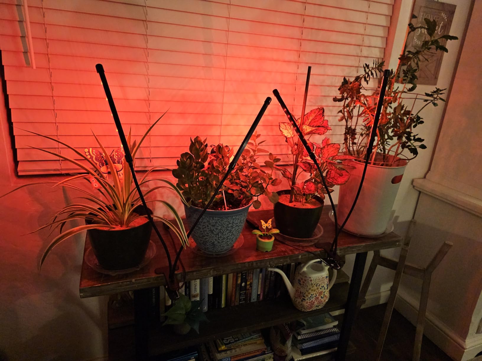 Grow Lights for Indoor Plants, Upgrade 84 LEDs Clip Plant Lights, Full Spectrum LED Plant Growing Lamps with Flexible Gooseneck, 3/9/12H Timer, 3 Spectral Modes, 10 Dimmable Levels (2 Head 1 Pack) customer photo 1