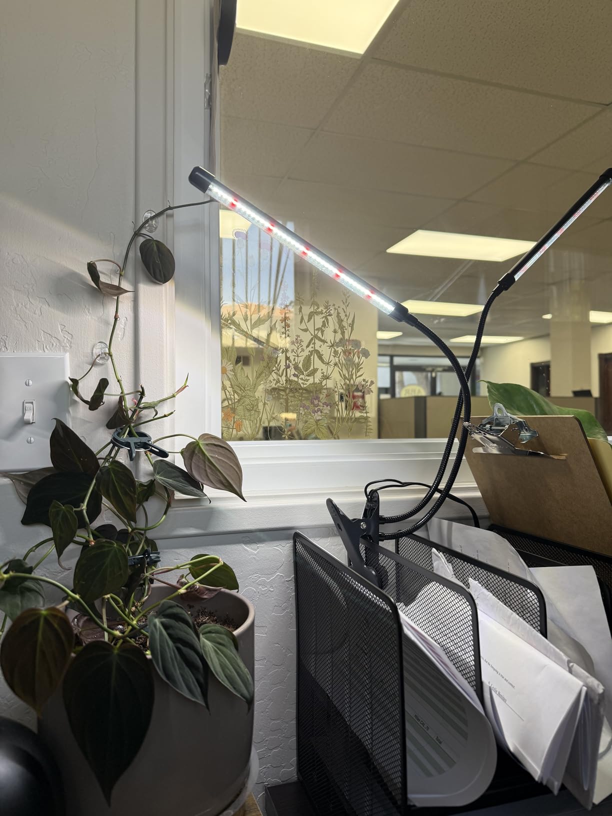 Grow Lights for Indoor Plants, Upgrade 84 LEDs Clip Plant Lights, Full Spectrum LED Plant Growing Lamps with Flexible Gooseneck, 3/9/12H Timer, 3 Spectral Modes, 10 Dimmable Levels (2 Head 1 Pack) customer photo 2