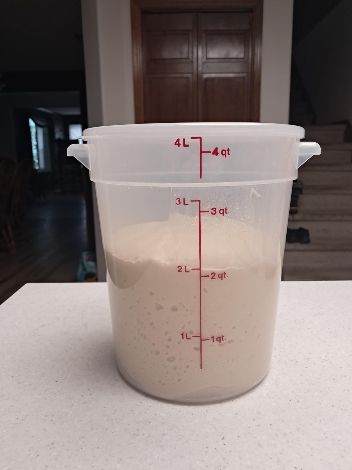 Cambro Food Storage Containers with Lids (BPA-Free) - 4 Quart - Food Grade Buckets with Lids (2 Pack) - For Dough Proofing and Brining (Translucent) customer photo 1