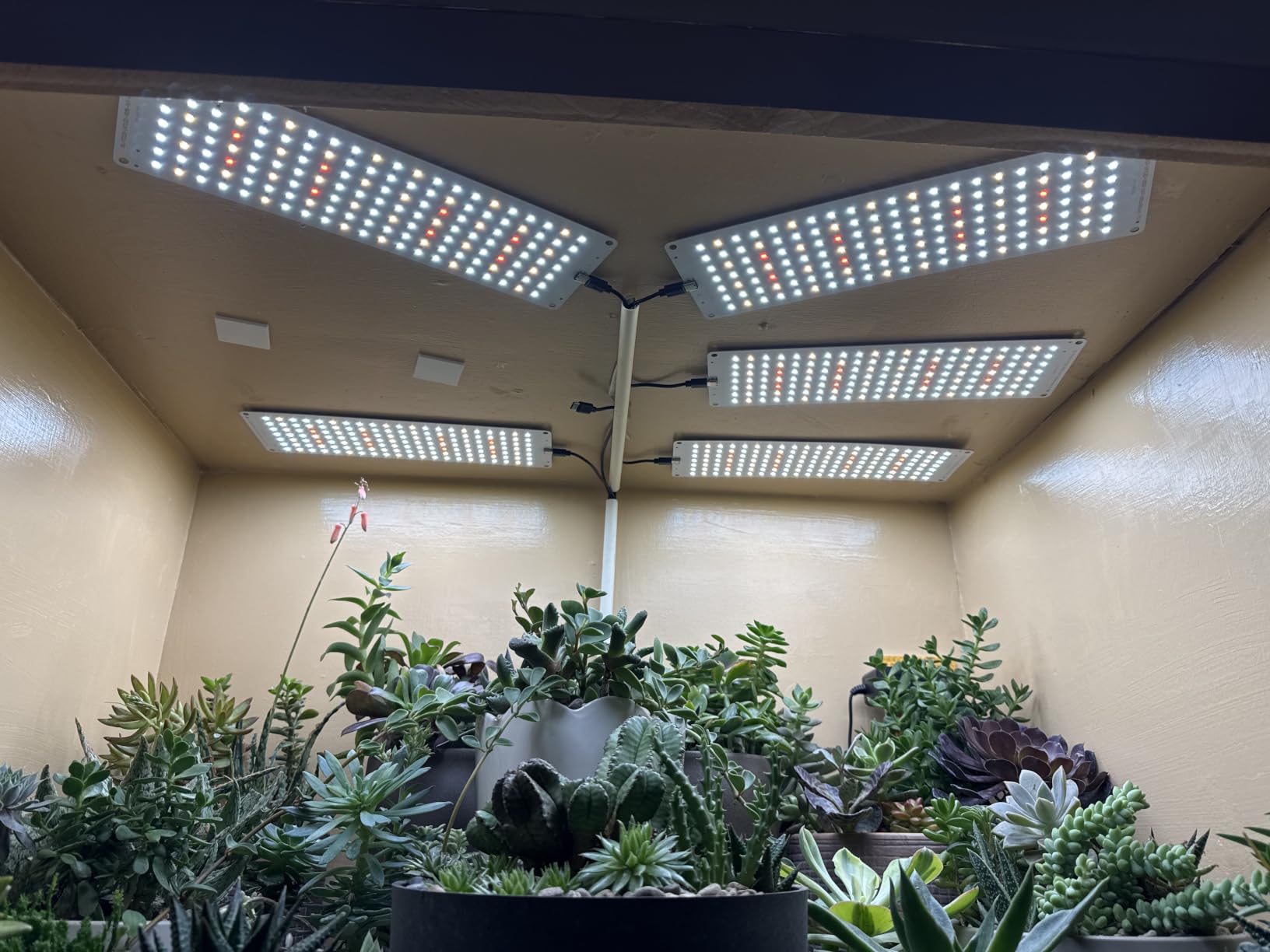 Garpsen Grow Lights for Indoor Plants, 6000K, for Seed Starting, 4Panels customer photo 1
