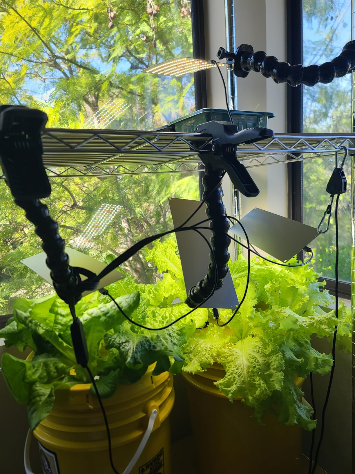 Garpsen Grow Lights for Indoor Plants, 6000K, for Seed Starting, 4Panels customer photo 2