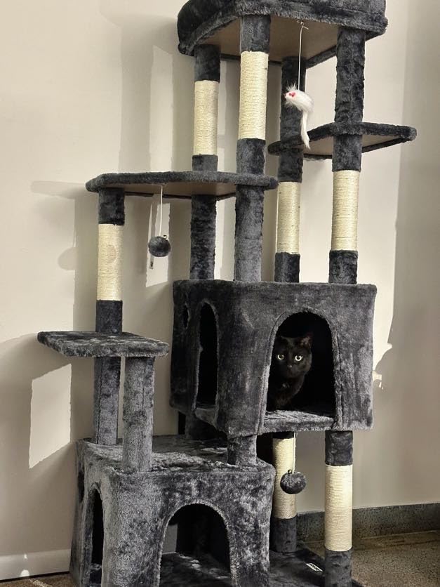 Globlazer Heavy Duty Cat Trees for Big Cats Maine Coon, F61, Light Grey | Cat Tower for Indoor Large Adult Cats with Scratching Post, Extra Large Top Perch, Cat Condos, 61inch customer photo 1