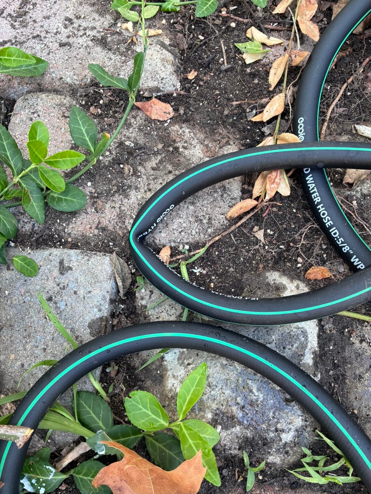 Heavy Duty Garden Hose 50ft, NON-EXPANDABLE Flexible Water Hose, Kink Resistant Lightweight Hybrid Hose, Leakproof Hose Male to Female Fittings customer photo 1