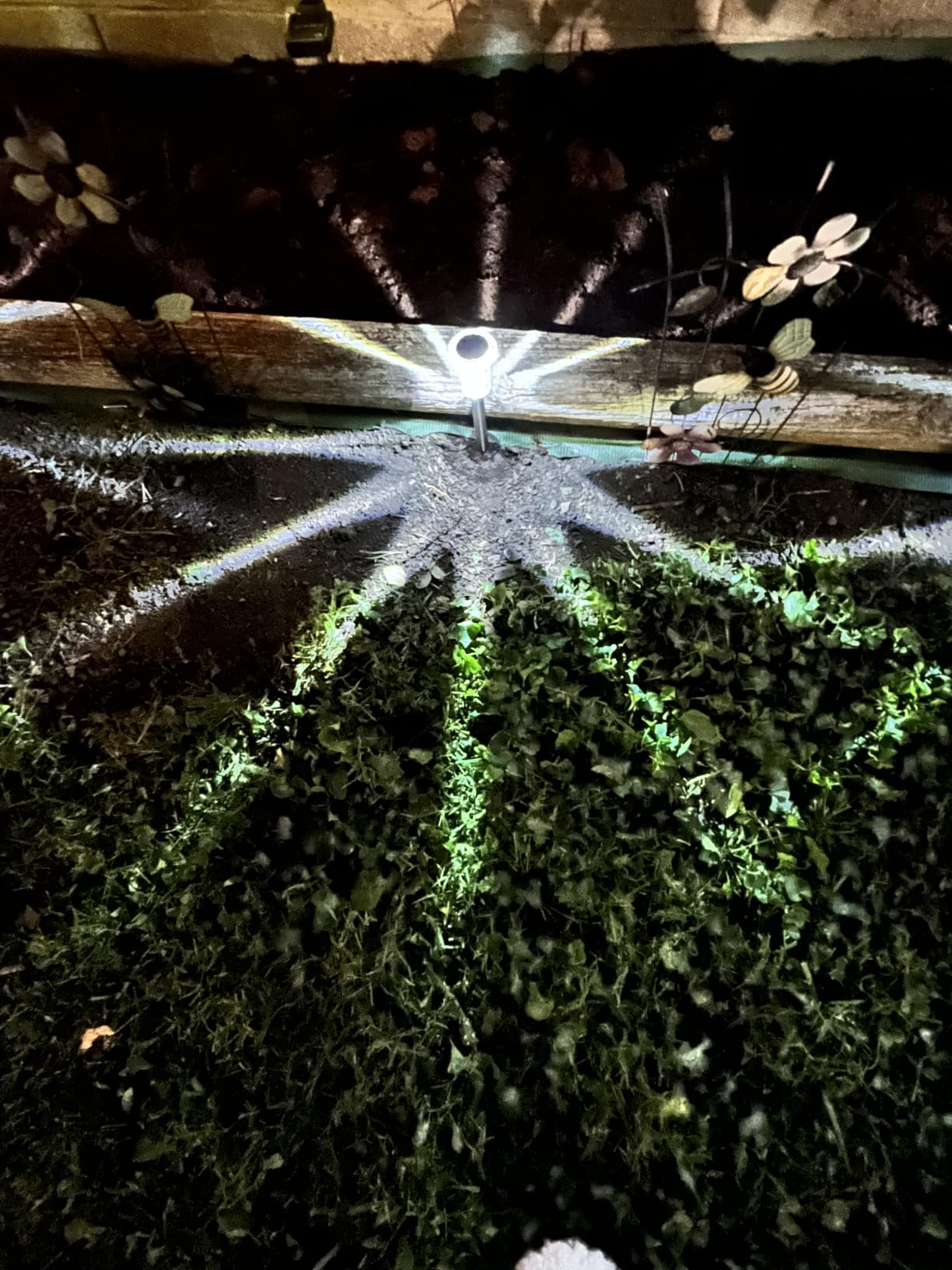 DenicMic Solar Halloween Lights Outdoor Waterproof 10 Pack Halloween Decor customer photo 1