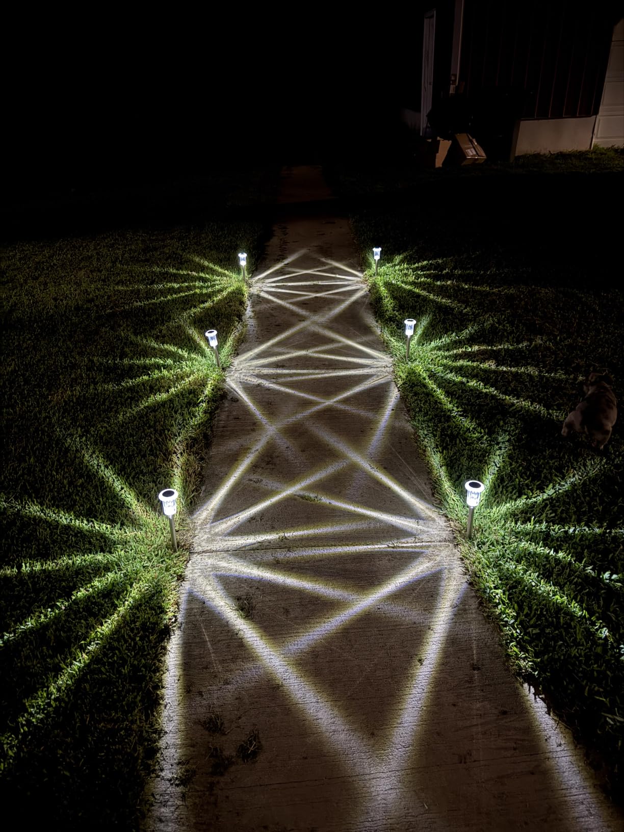 DenicMic Solar Halloween Lights Outdoor Waterproof 10 Pack Halloween Decor customer photo 2