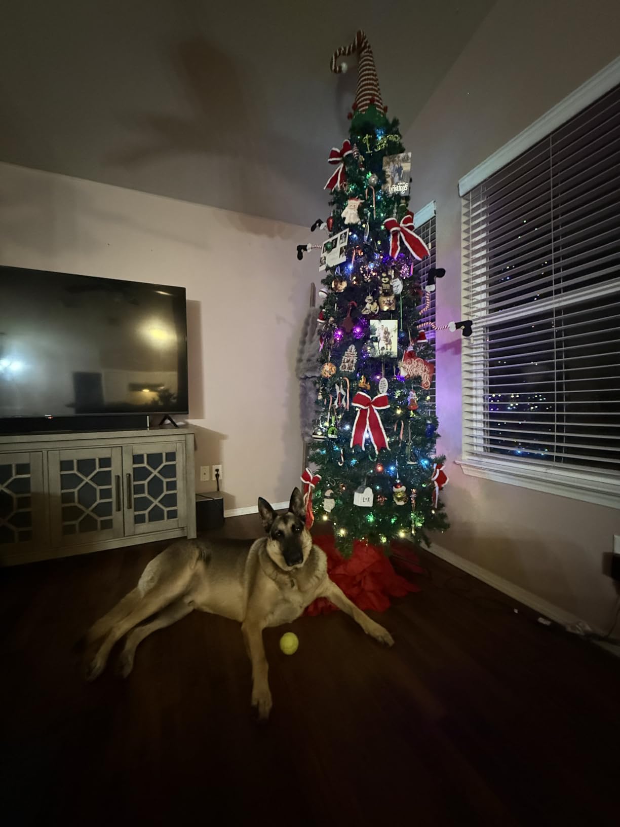 Govee Christmas Lights 2, 99FT 300LEDs Holiday String Lights, Green Wire customer photo 1