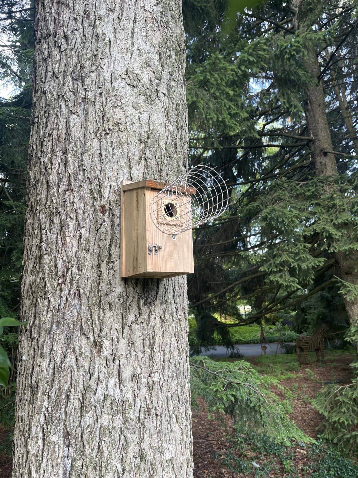 SISTERBIRD 2 Pack Bluebird Houses for Outside, Warming Gifts Bluebird House customer photo 1