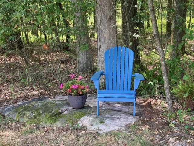 Wooden Folding Adirondack Chair Set of 2, Half Pre-Assembled Wood Lounge Chair for Outdoor Patio Garden Lawn Backyard Deck Pool Beach Firepit customer photo 2