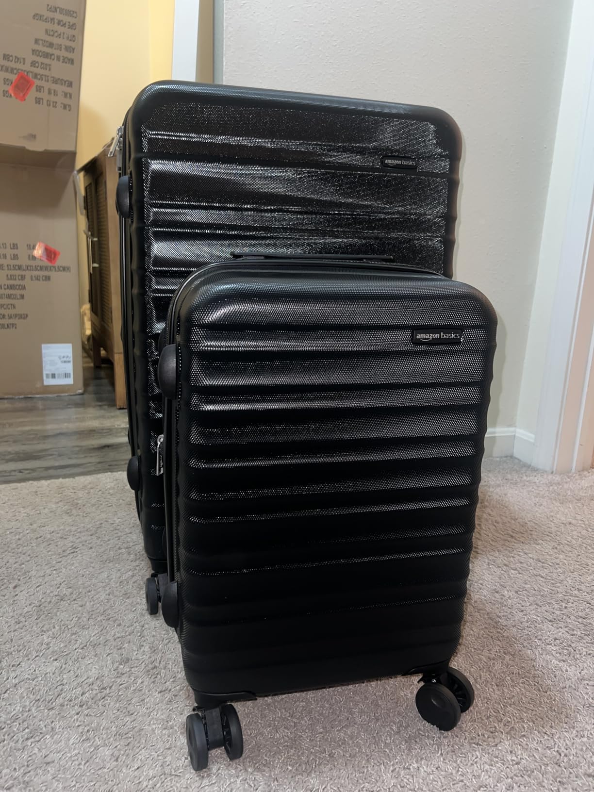 Amazon Basics 2-Piece Hardshell Suitcases Set (21