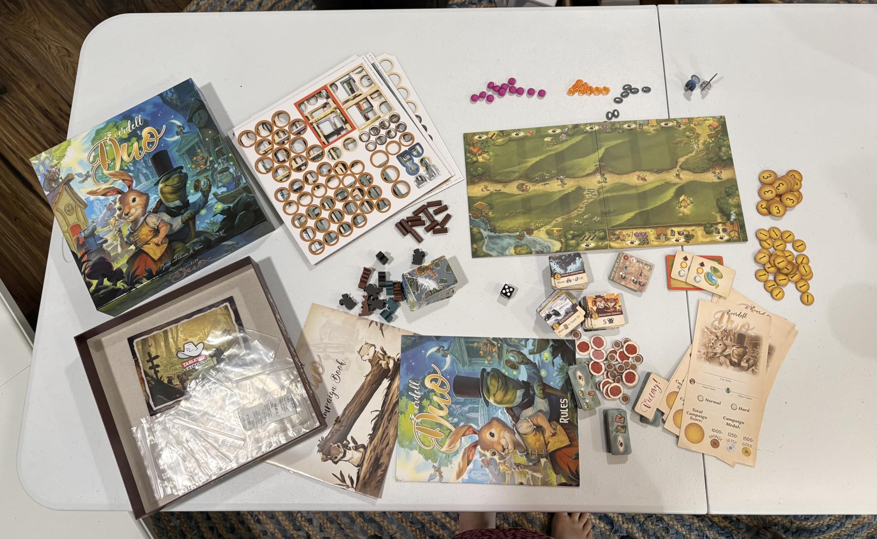 Everdell Duo Standalone Board Game for 2 Players, Competitive & Co-Op customer photo 1