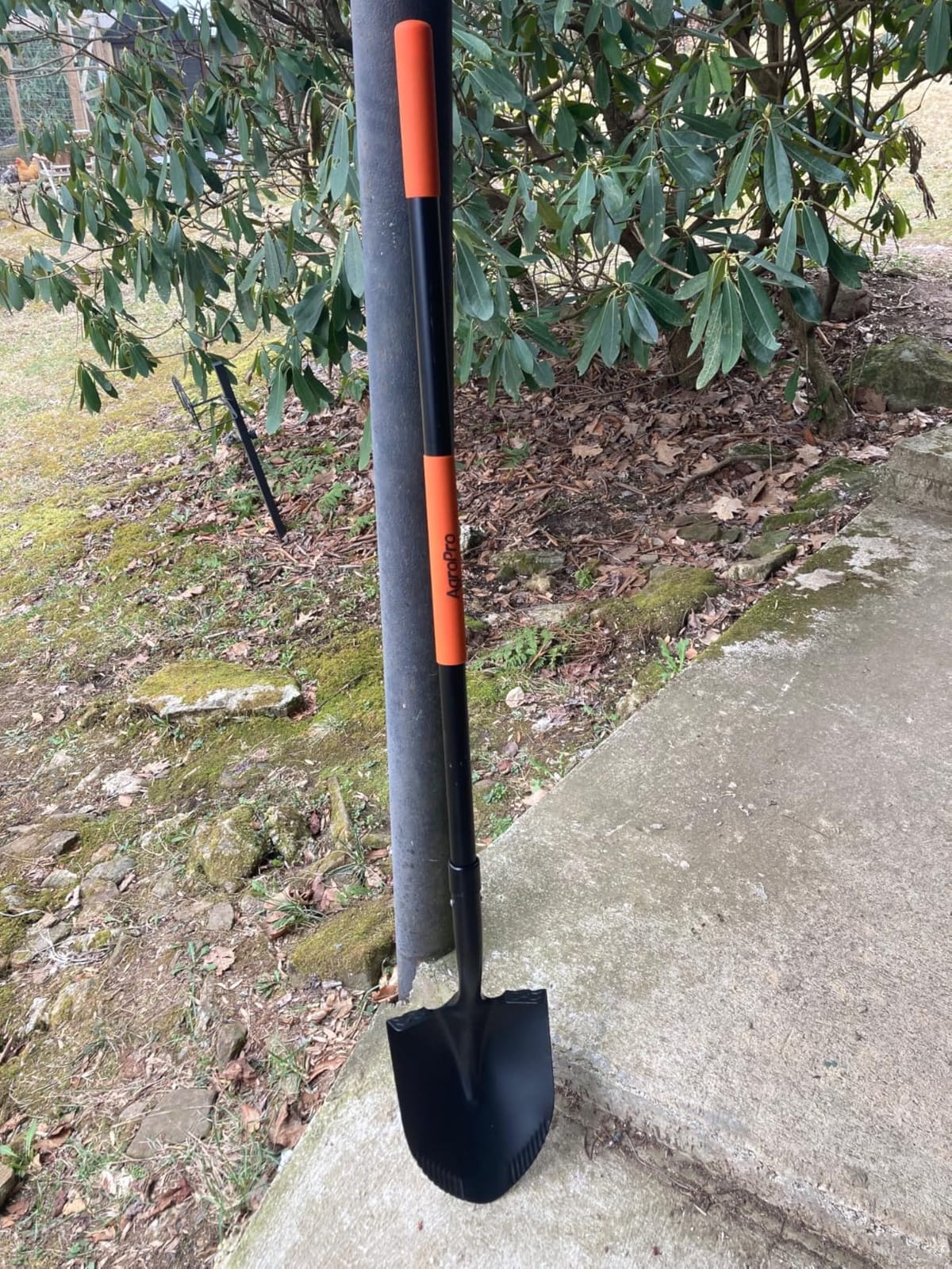 Heavy Duty Shovel, 58 Inches, Black, High Carbon Steel, Fiberglass Handle, Modern Style customer photo 1