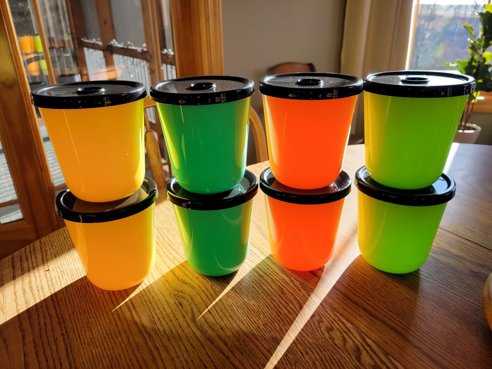 Kratky Method Hydroponic Planter Kit, 8 Hydroponic Planter Plus 24 Growing Sponges for Herbs, Hydroponic Mini Buckets for Windowsill Herb Garden, Hydroponic Growing System for Vegetables (Black) customer photo 2