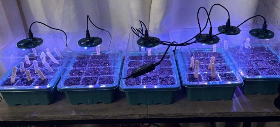 Bonviee 5-Pack Seed Starter Trays, Humidity Dome, Base, 12-Cell Tray, Green customer photo 2