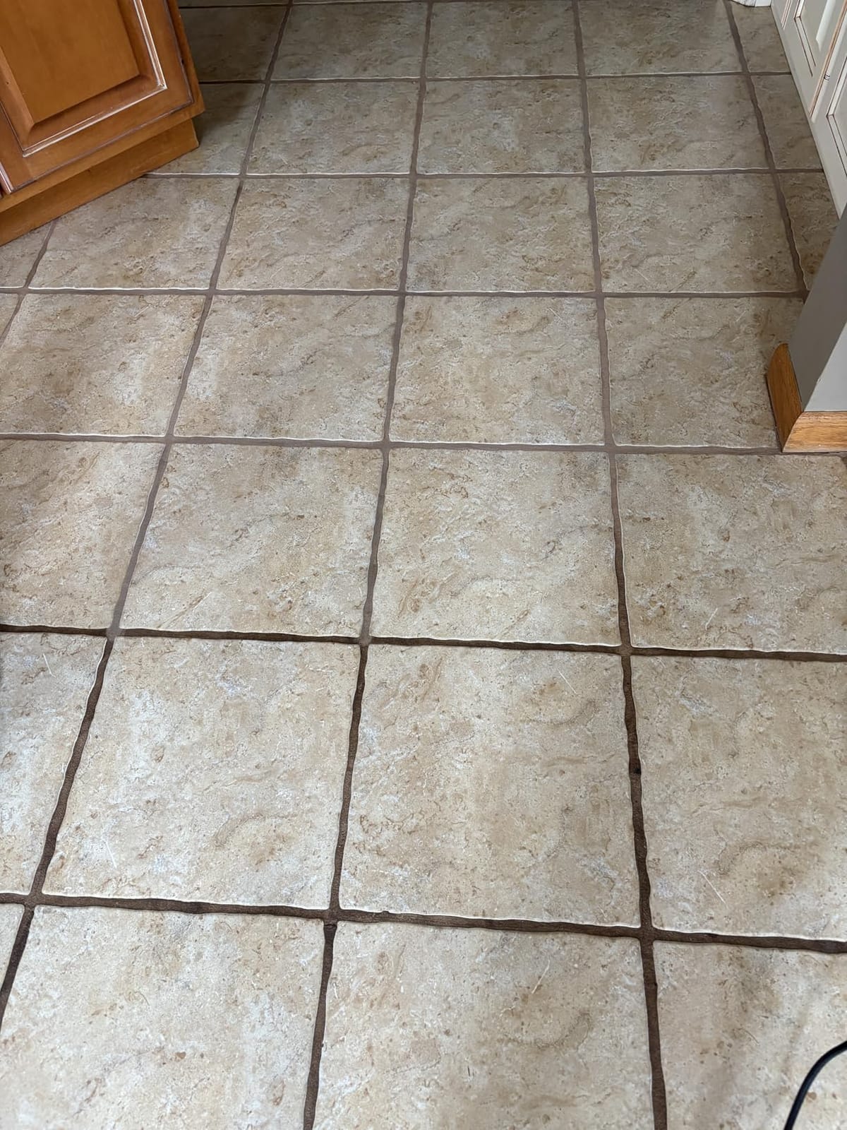Shark Steam Pickup 3-in-1 Steam Mop for Sealed Hard Floors, SD201 customer photo 2