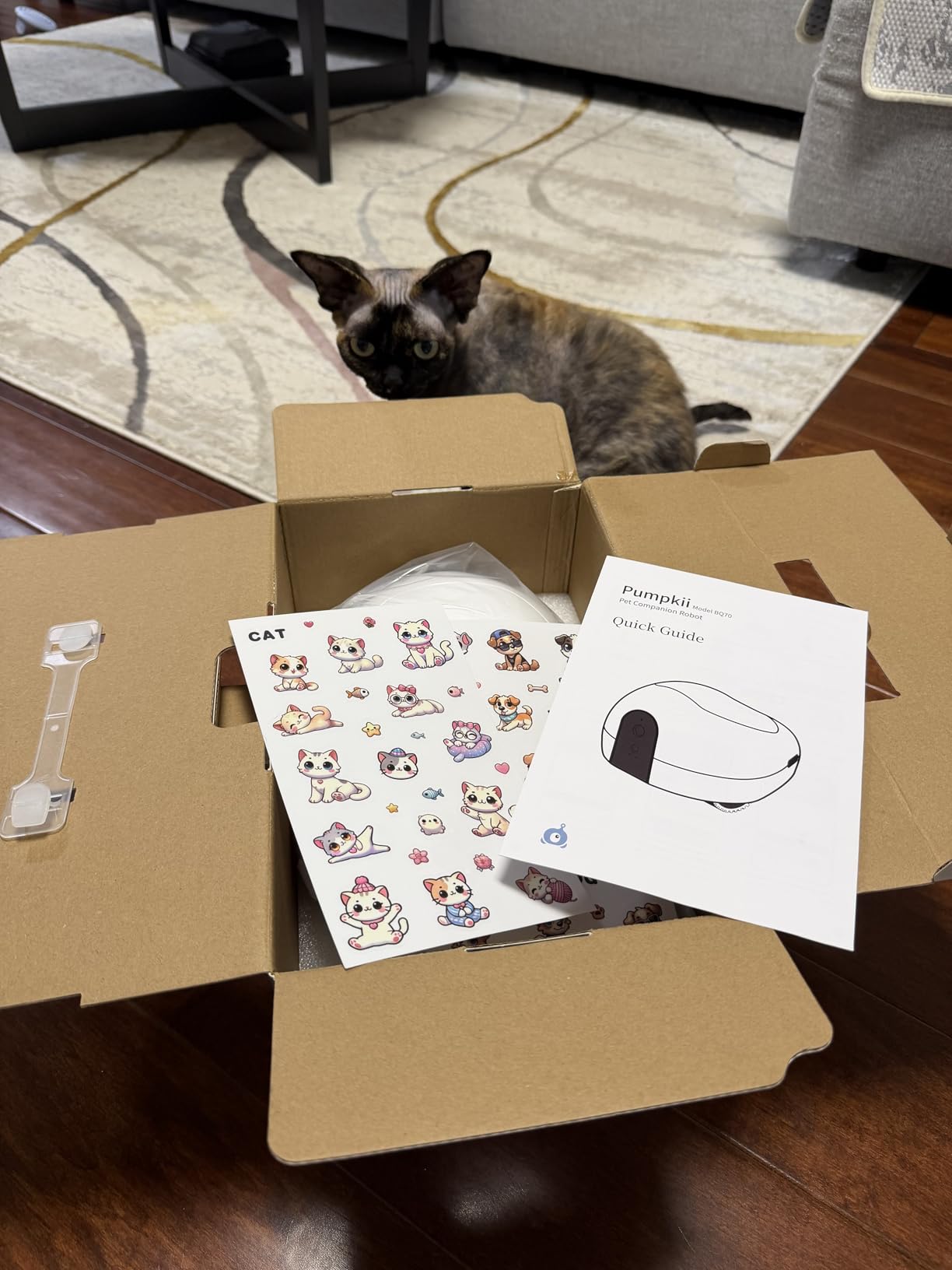 Pet Camera Robot with Treat Dispenser & Laser, Moving Cat Robot Camera for Dogs and Cats with Two-Way Audio, App Remote Control, Auto Recharge, Night Vision customer photo 1