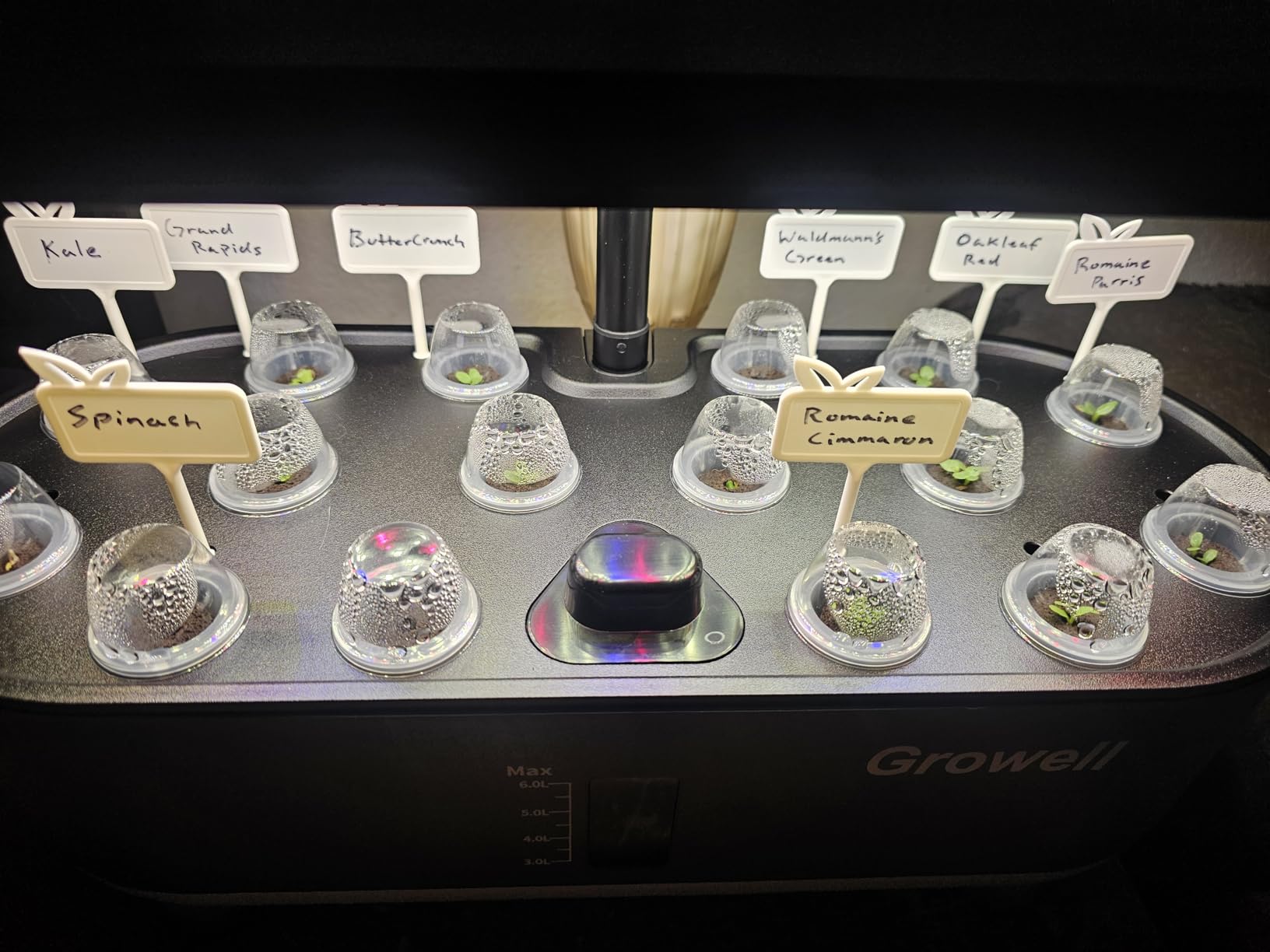 Growell Hydroponics Growing System Kit, 16 Pods Indoor Garden with 28W Full Spectrum LED Grow Light, Auto Timer, 3 Smart Light Modes, 8L Large Herb Garden, Ideal Gardening Gift for Women, Men (White) customer photo 1