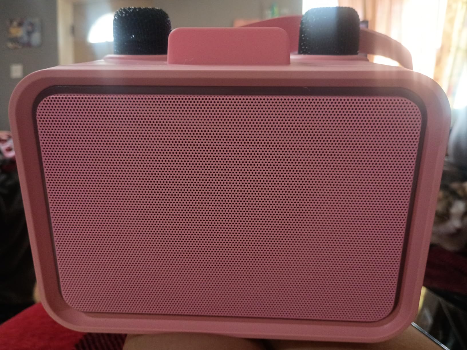 Karaoke Machine for Kids Adults,Bluetooth Speaker 2 Wireless Microphones customer photo 1