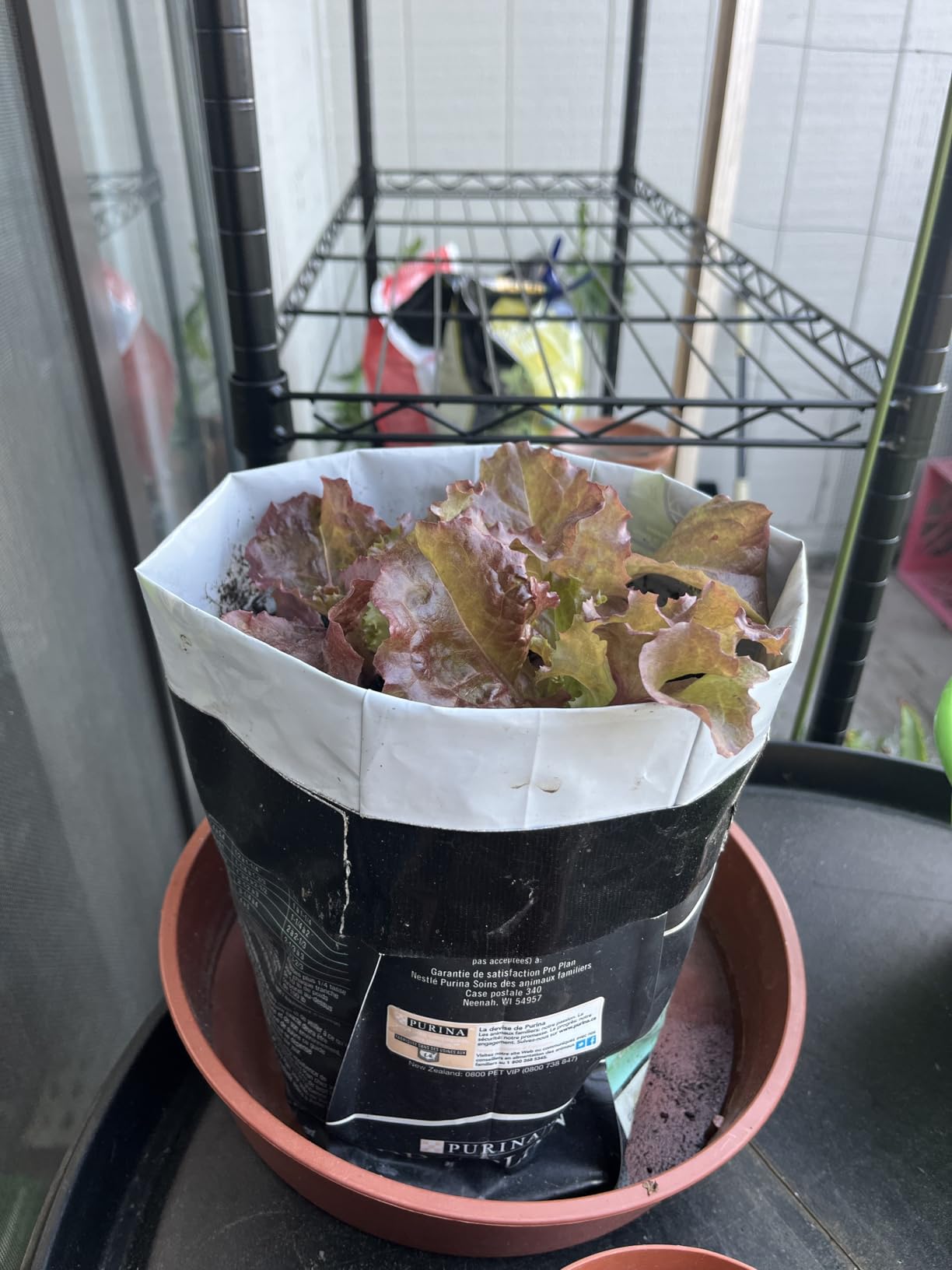 SDOVUERC 16'' 6 Bars Grow Light Strips for Indoor Shelves Plants Growing. customer photo 1