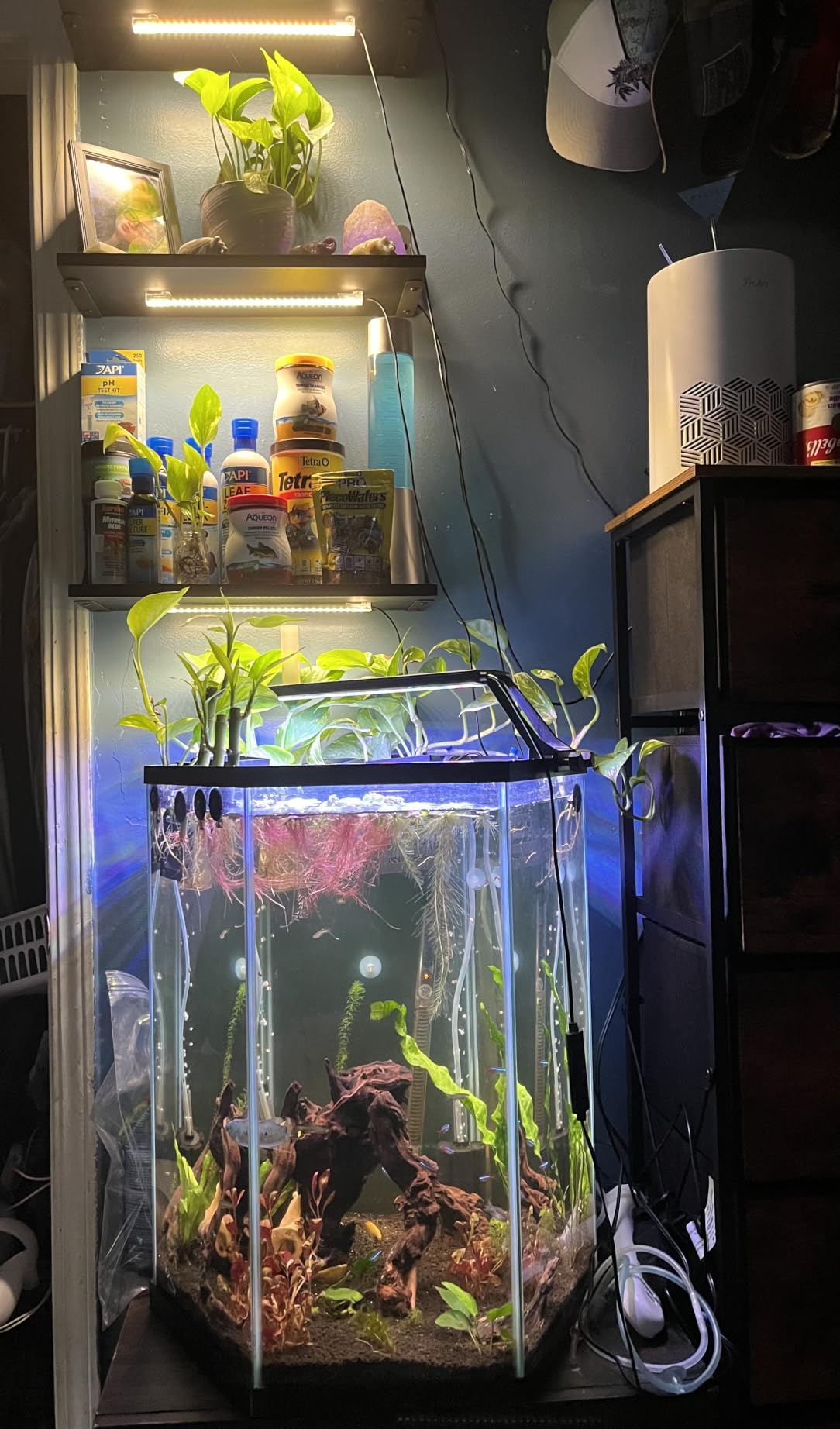 LED Grow Light Strips, Grow Lights for Indoor Plants Full Spectrum 3000K, Plant Light Bar with 3/9/12H Timer, 10 Dimmable Levels for Seedling Succulent,Best Match for Plant Shelf(3 Head×2 Pack) customer photo 1