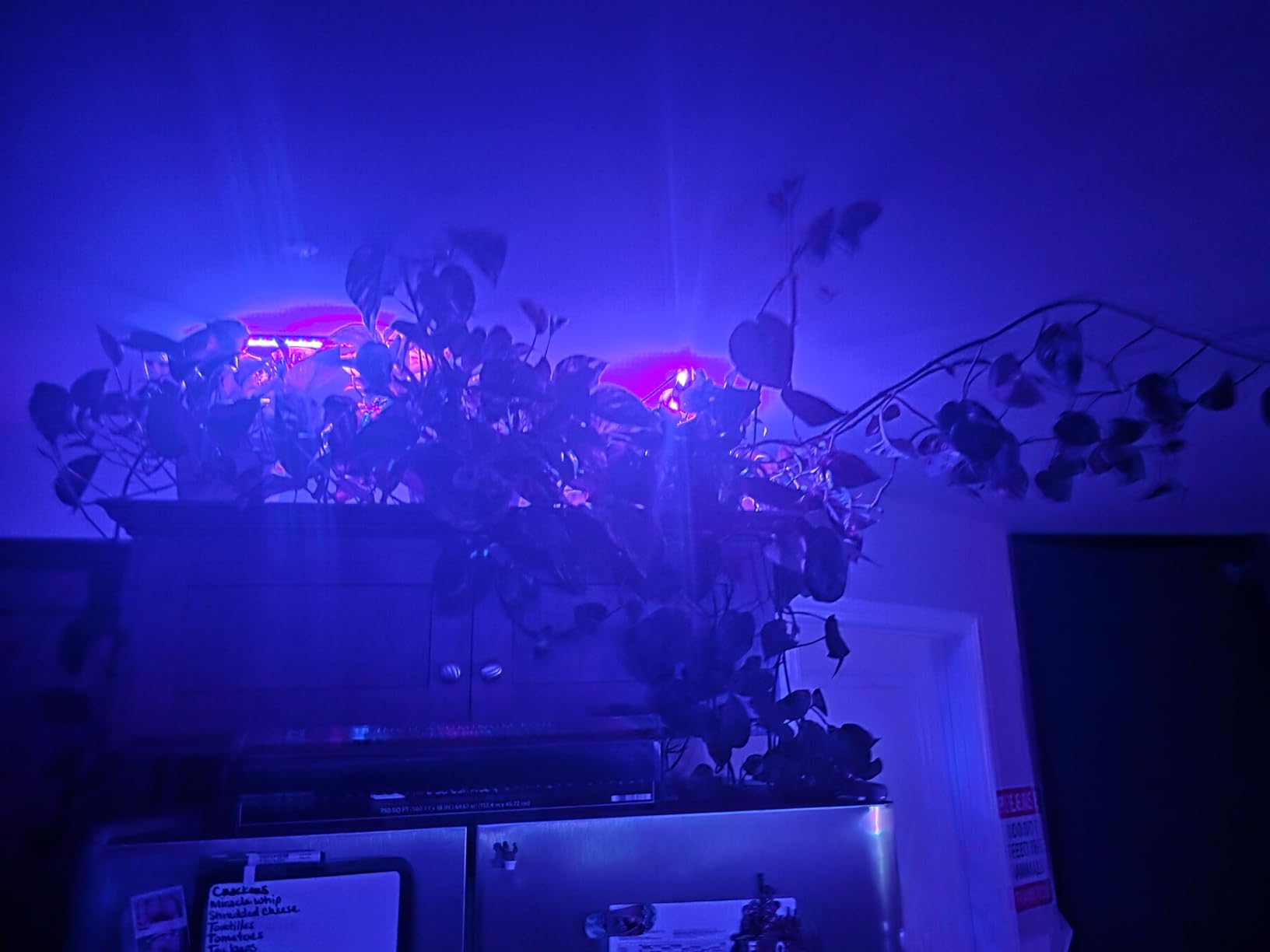LED Grow Light Strips, Grow Lights for Indoor Plants Full Spectrum 3000K, Plant Light Bar with 3/9/12H Timer, 10 Dimmable Levels for Seedling Succulent,Best Match for Plant Shelf(3 Head×2 Pack) customer photo 2