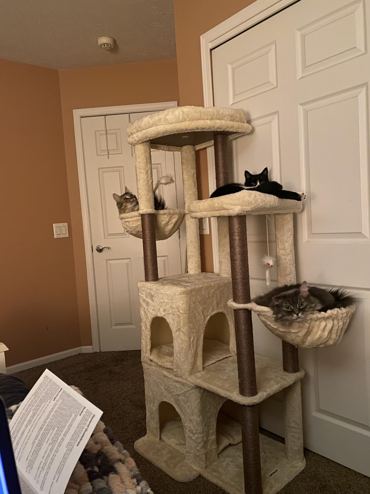 Globlazer Cat Tree Tower for Indoor Cats Large Adult, FC50, Light Grey | 50-inch Adult Cat Tree House with Steps, Scratching Post, 2 Cat Caves, Dangling Toys customer photo 2
