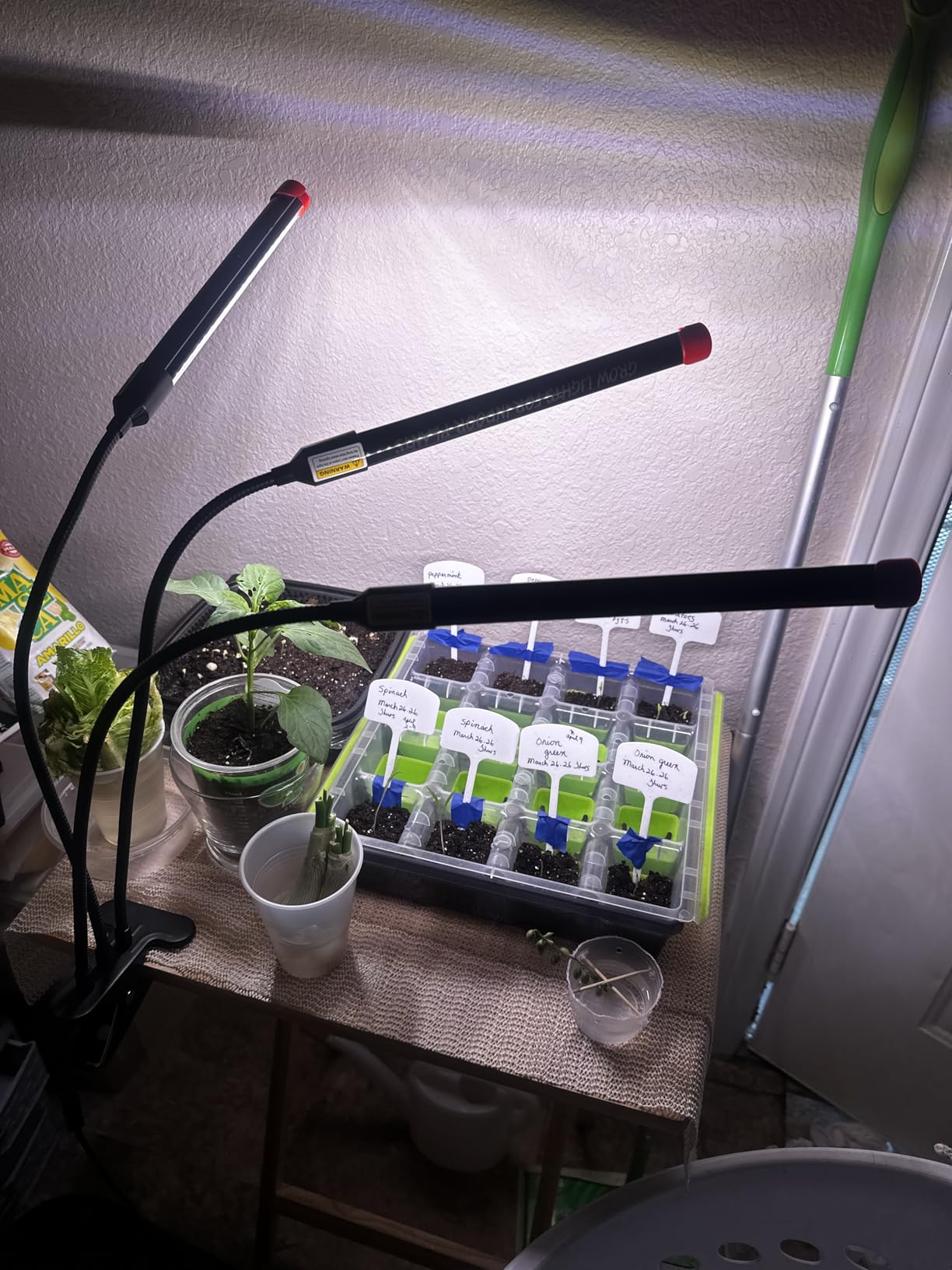 FECiDA 36W Strong Clip Grow Light for Indoor Plant, Seed Starting, Seedling customer photo 1