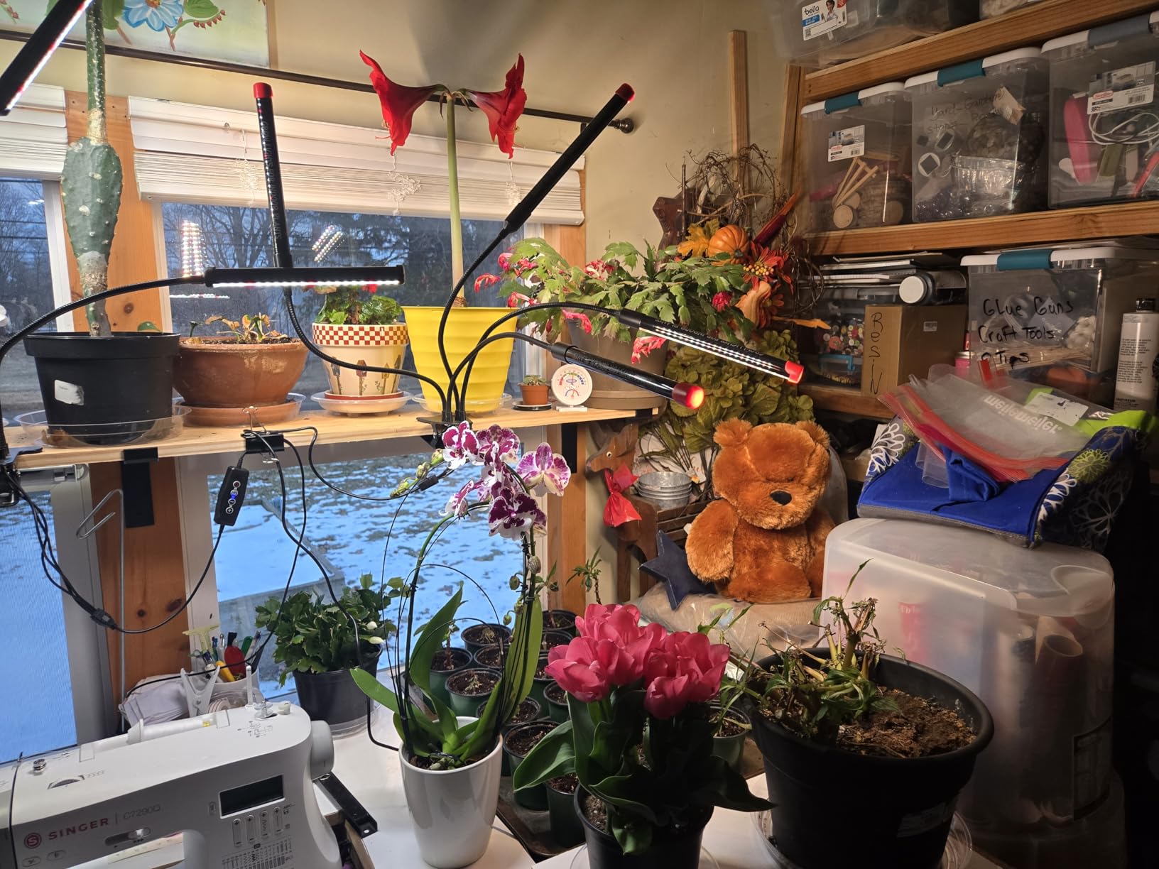 FECiDA 36W Strong Clip Grow Light for Indoor Plant, Seed Starting, Seedling customer photo 2