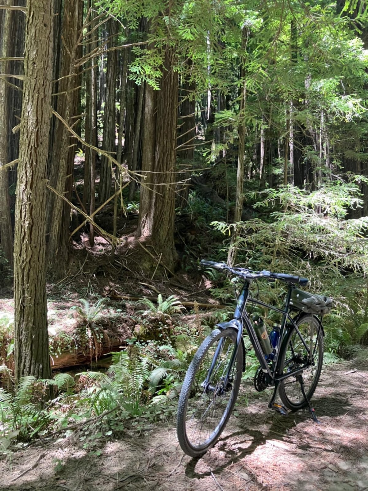 AVASTA Jupiter 17 19 Inch Frame Road Adult Hybrid Cycling Bike Bicycle | Lightweight Step-Over Aluminum Frame, 700C, 21-Speed Gearing for City Commuting, Dual Disc Brakes customer photo 1