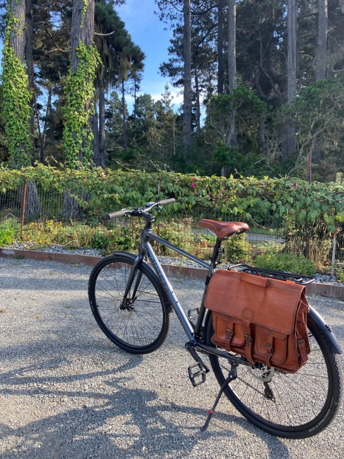 AVASTA Jupiter 17 19 Inch Frame Road Adult Hybrid Cycling Bike Bicycle | Lightweight Step-Over Aluminum Frame, 700C, 21-Speed Gearing for City Commuting, Dual Disc Brakes customer photo 2