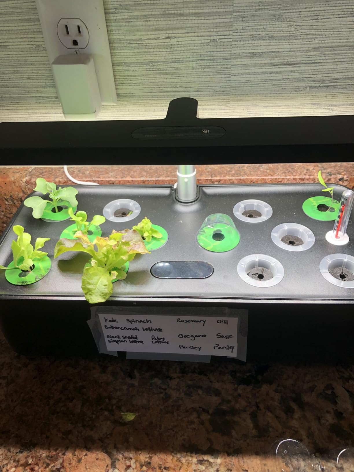 SUNCOZE Hydroponics Growing System, Compact 12 Pods Indoor Garden, Black customer photo 1
