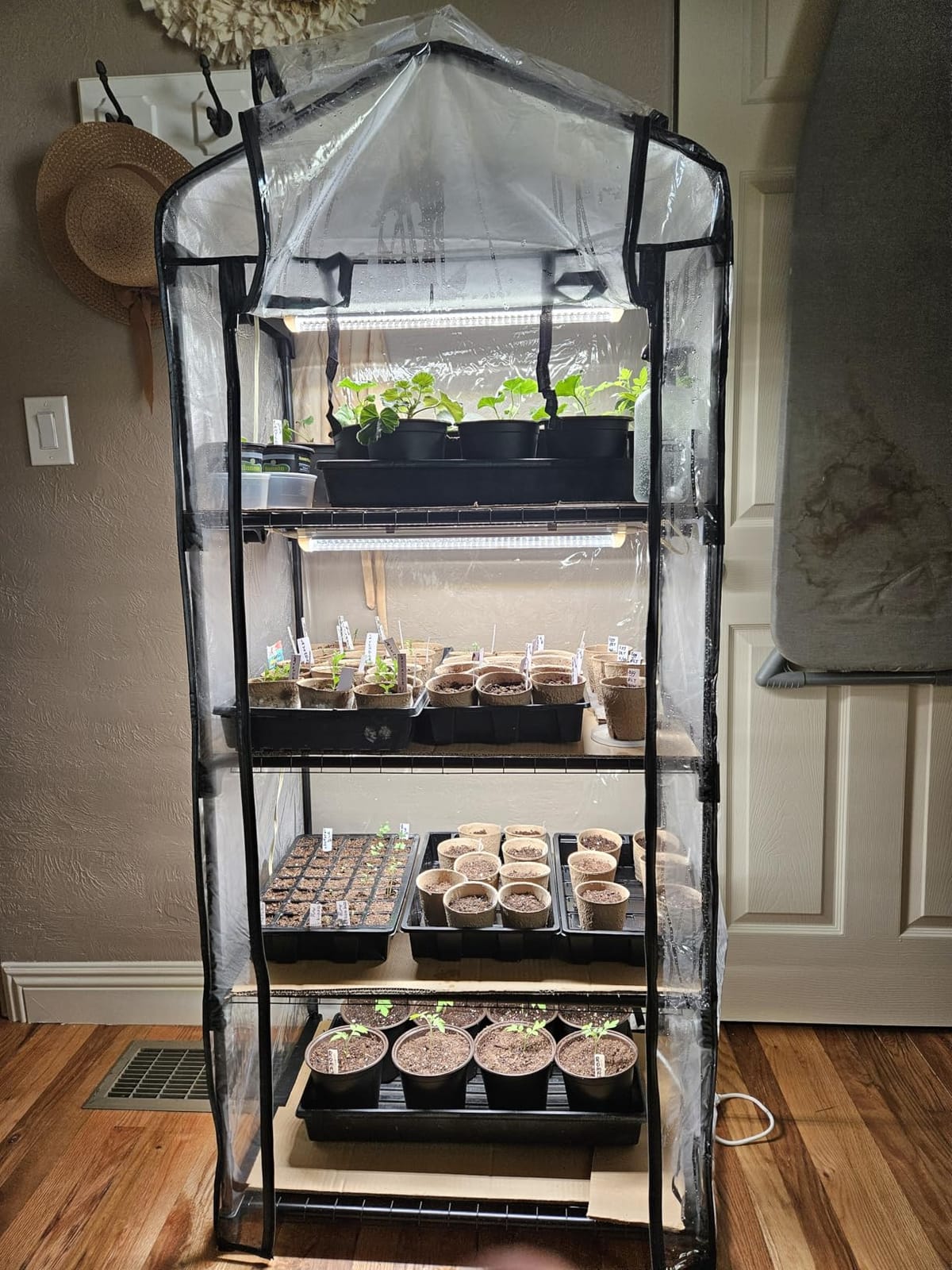 Bstrip Indoor Greenhouse with Grow Light, 4x20W Plant Lights with Timer customer photo 1