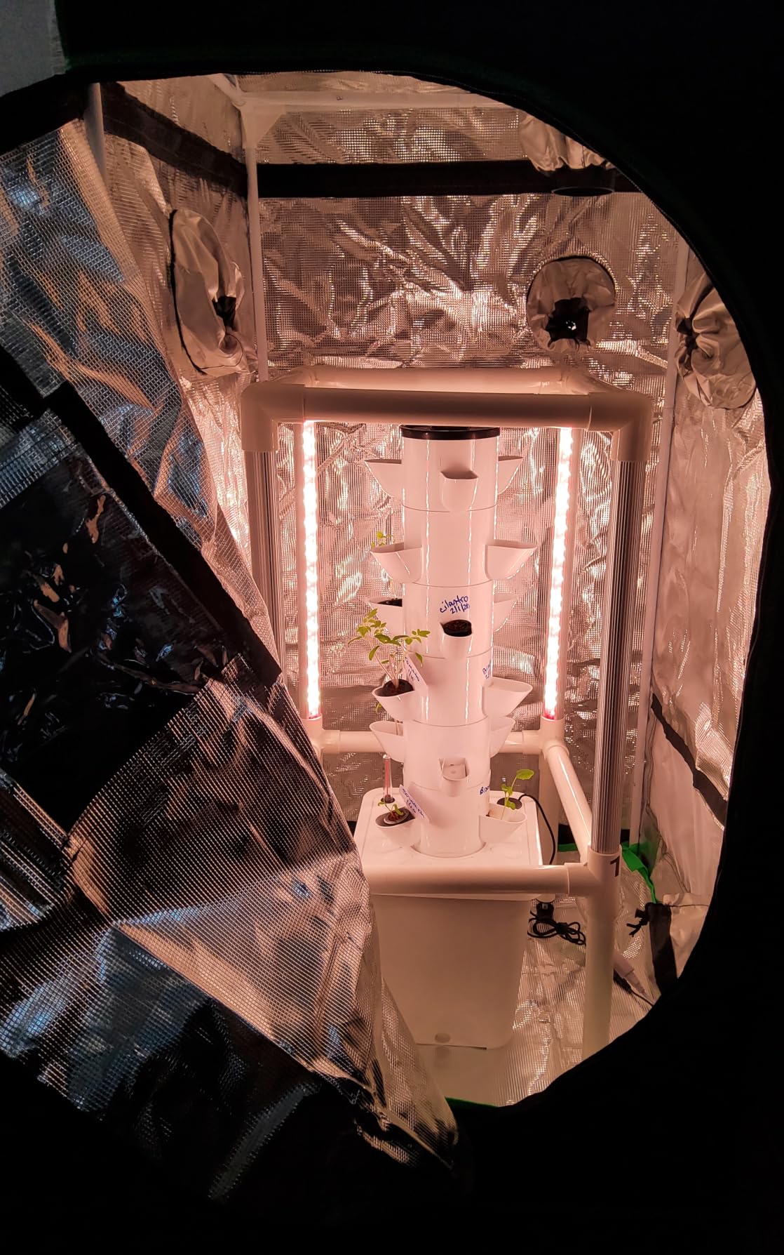 Small Grow Tent for Aerogarden，18”x18”x36” ，Hydroponics Growing System ，Highly Reflective 600D Diamond Mylar Canvas with Ventilation window and Floor Tray for Hydroponic Indoor Plant Growing customer photo 2
