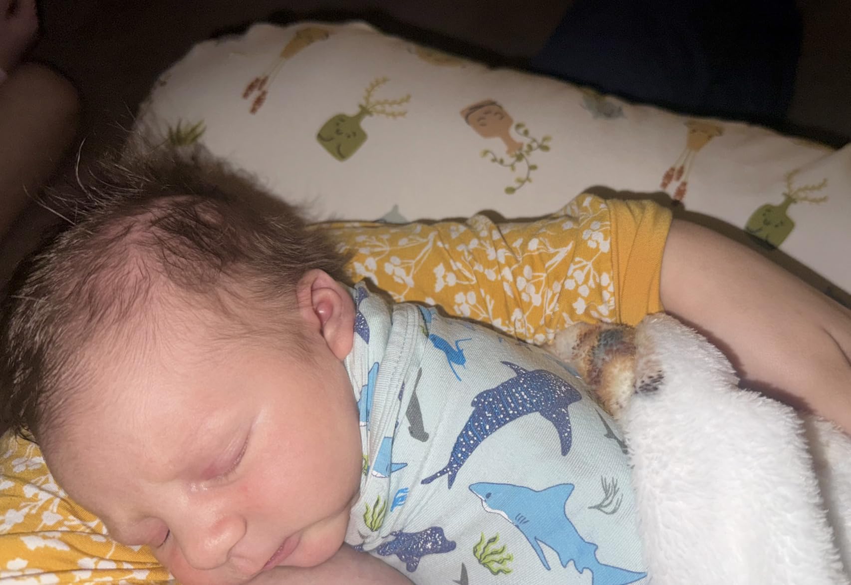 Boppy Nursing Pillow, Safe Ergonomic Breastfeeding & Baby Feeding Support customer photo 2