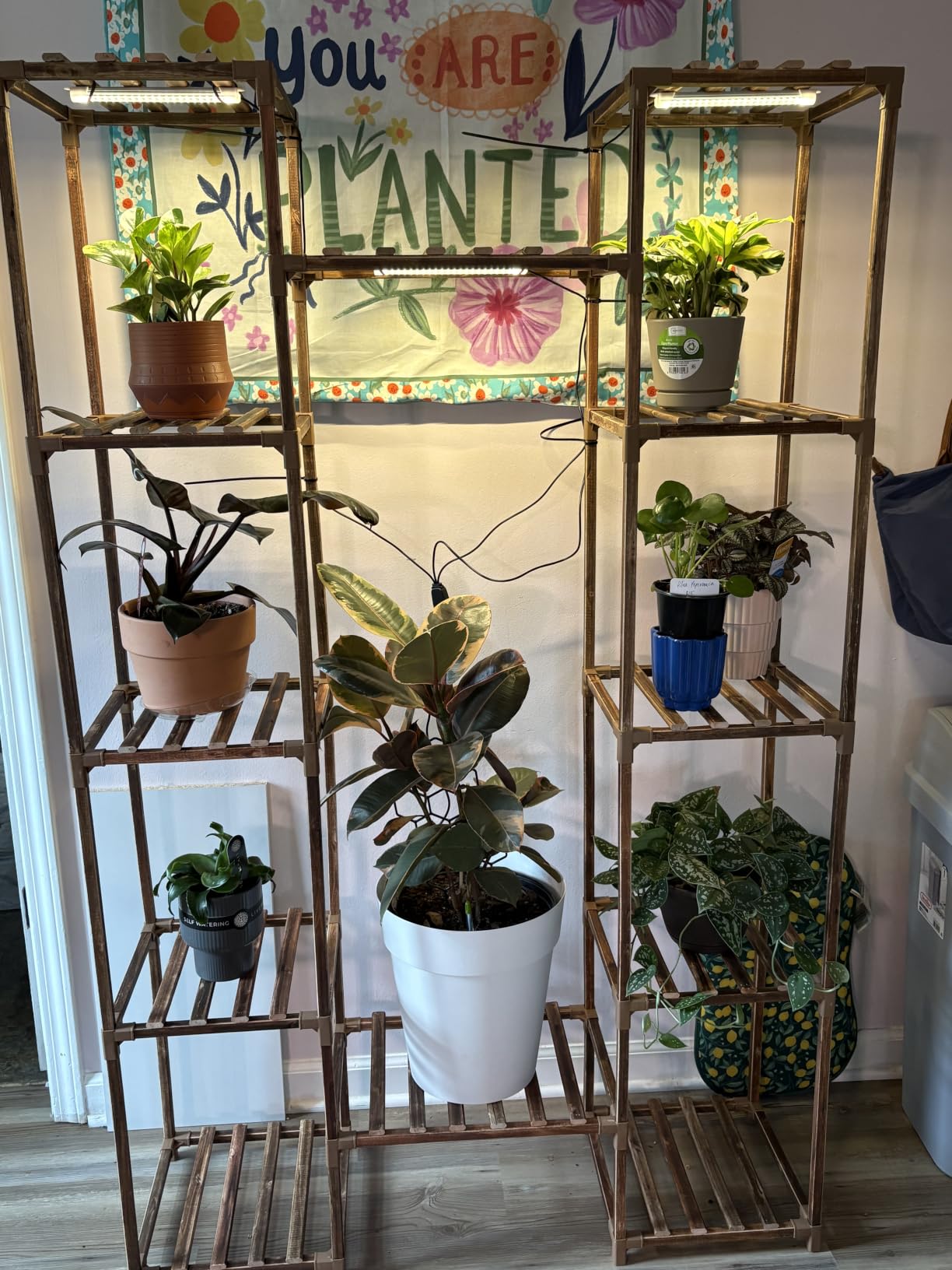 GENTINGBRO Plant Stand with Grow Lights for Indoor Plants 62.2'' Tall Plant Shelves customer photo 1