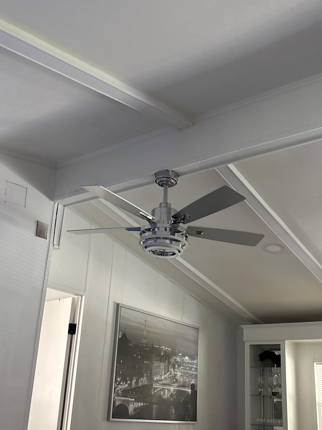 72 Inch Large Gold Modern Ceiling Fans with Lights customer photo 1