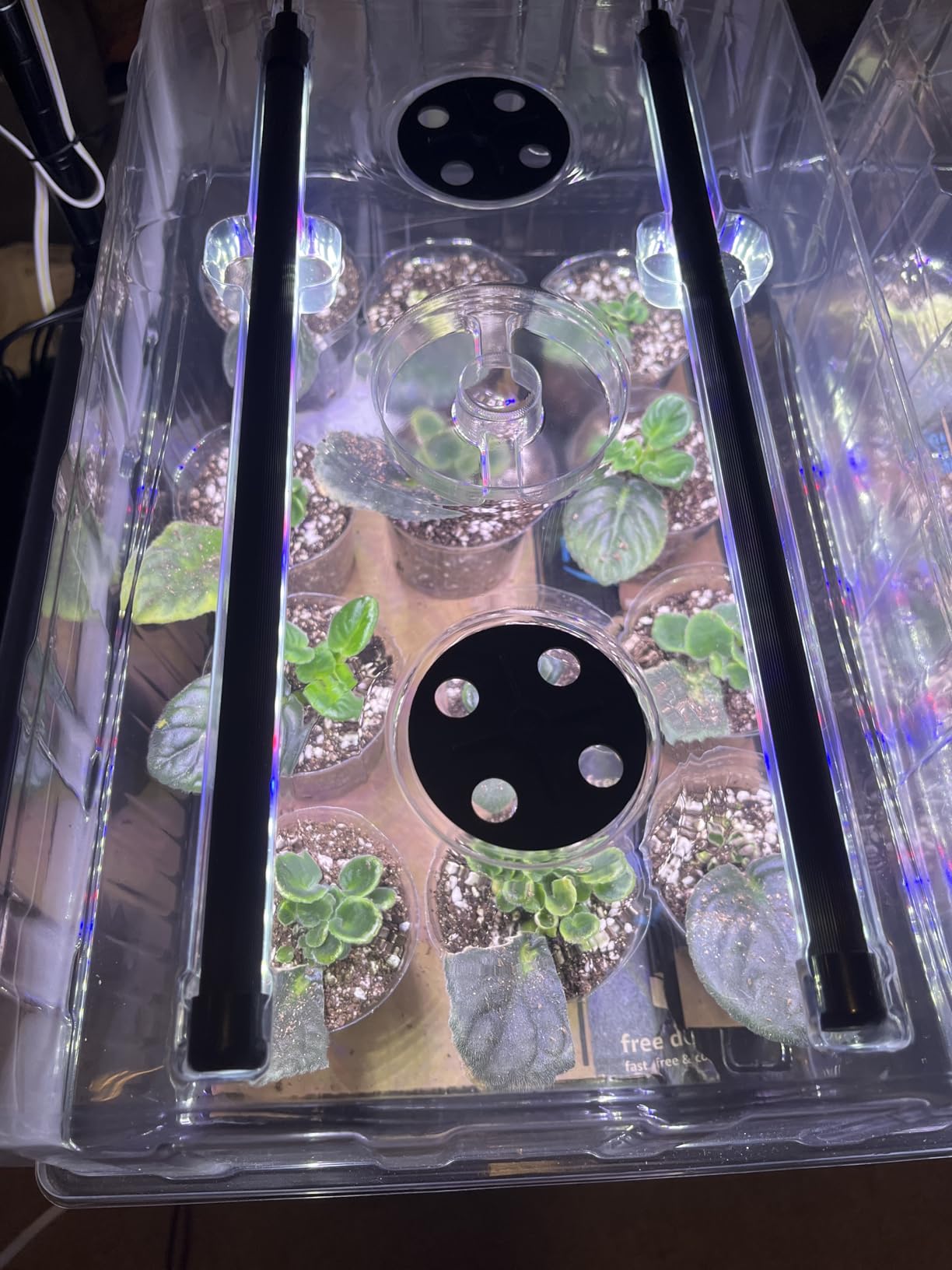 Patigrow 60-Cell Self-Watering Seed Starter Tray with Grow Light, Seed Starter Kit with 4.07” Humidity Dome, Indoor Seedling Starter Tray, Seed Starting Trays for Plant Germination, Seeds Growing customer photo 1