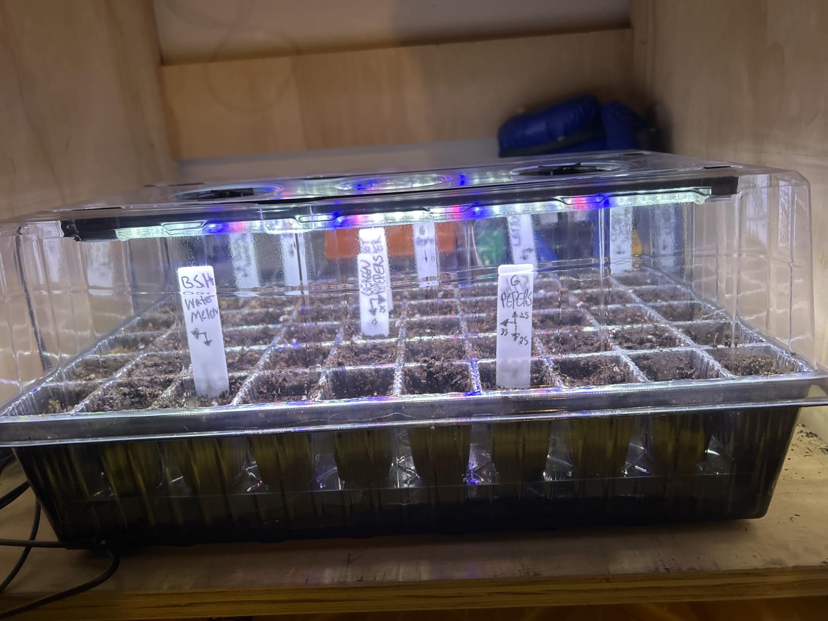 Patigrow 120-Cell Self-Watering Seed Starter Tray with Grow Light, Seed Starter Kit with 4.07” Humidity Dome, Indoor Seedling Starter Tray, Seed Starting Trays for Plant Germination, Seeds Growing customer photo 1