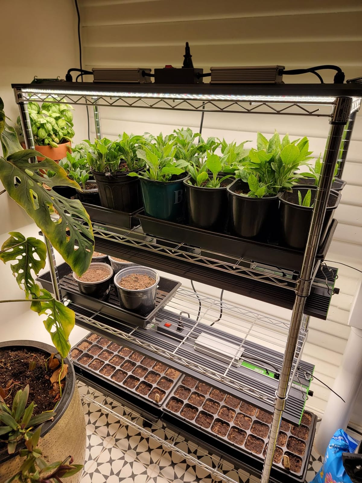 70 Watt Grow Light, Dimmable Plant Light, LED Grow Lights for Indoor Plants customer photo 1