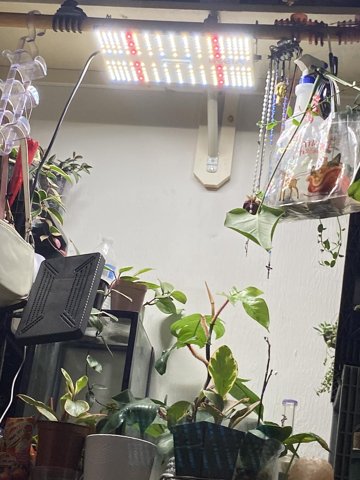 70 Watt Grow Light, Dimmable Plant Light, LED Grow Lights for Indoor Plants customer photo 2