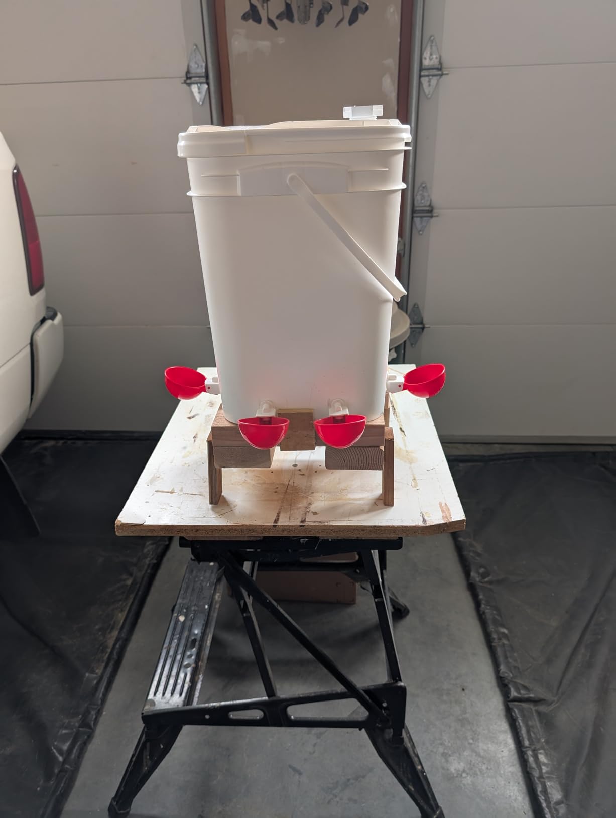 Chicken Waterer Cups, Automatic DIY Chicken Water Bowl 6 Pack | Chicken Flock Waterer Cups with 3/8'' Hole Saw for Bucket, Trough, Easy Install customer photo 1