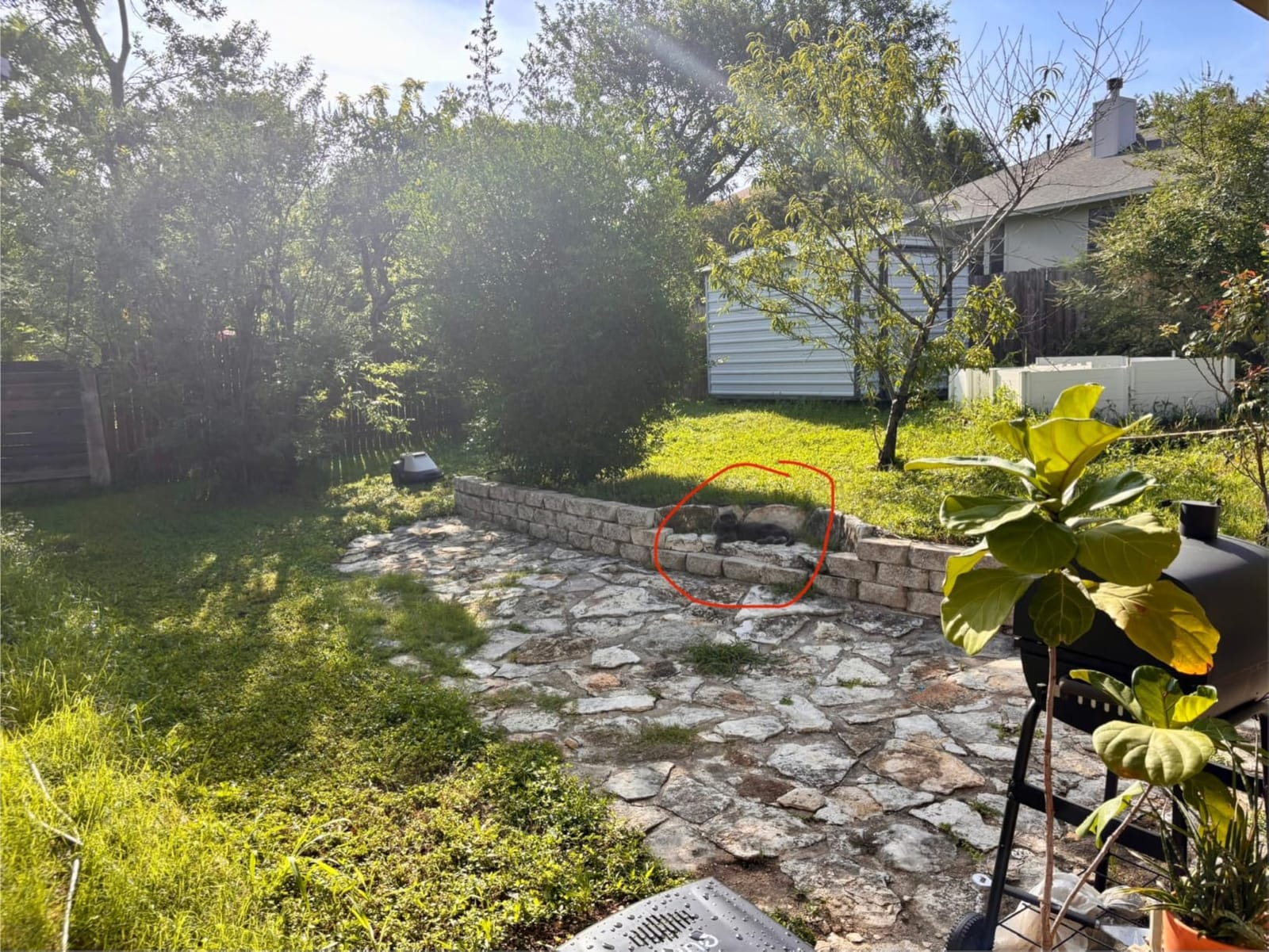 eufy Robot Lawn Mower E15, Auto Mapping, Pure Vision Navigation customer photo 1