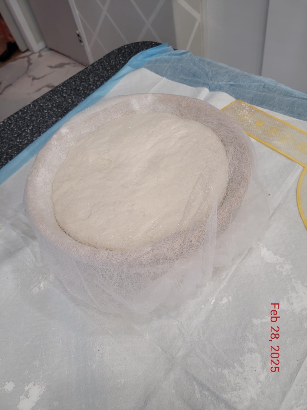 100 Pack Banneton Bread Proofing Basket Liner,21