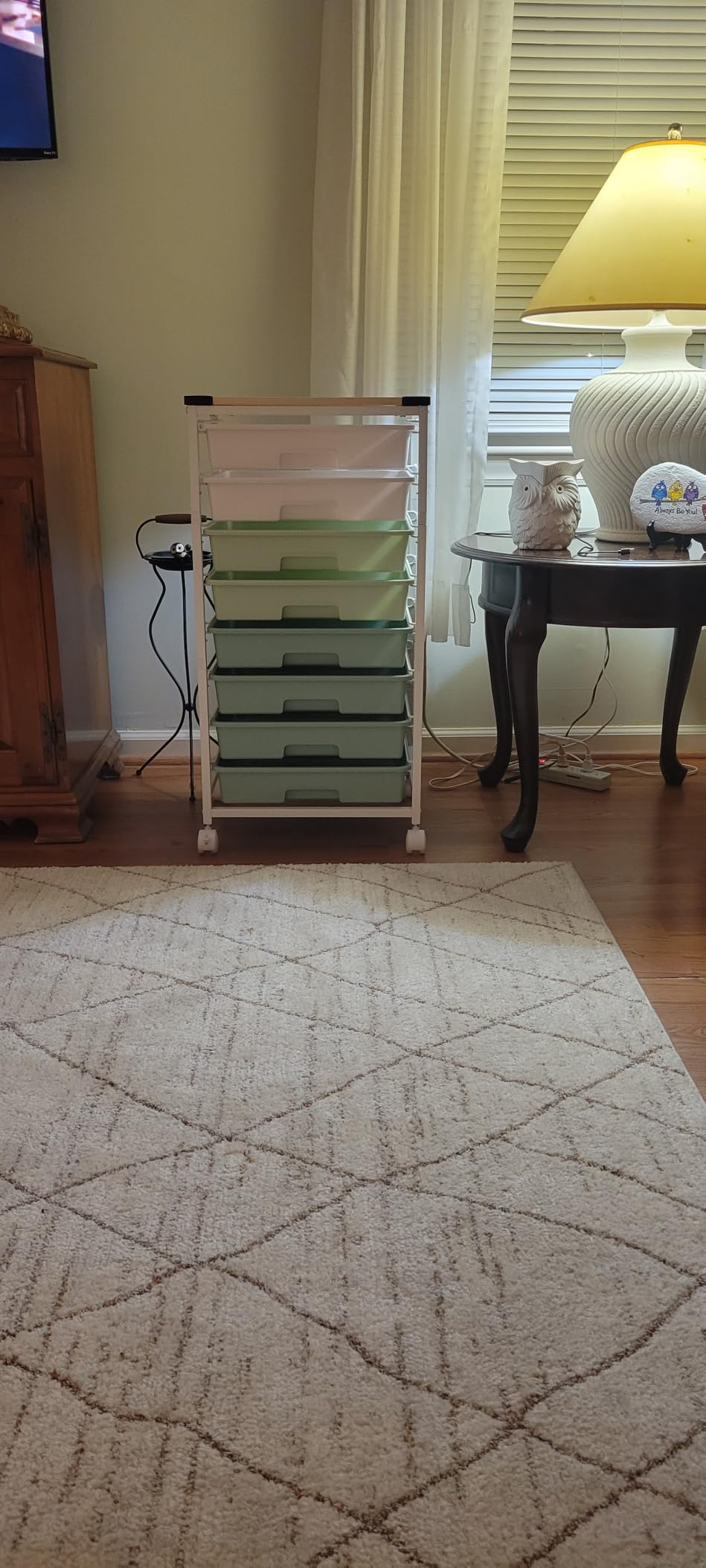 SYKIARIOL Rolling Cart with Drawers,Craft Organizers and Storage, Green customer photo 1