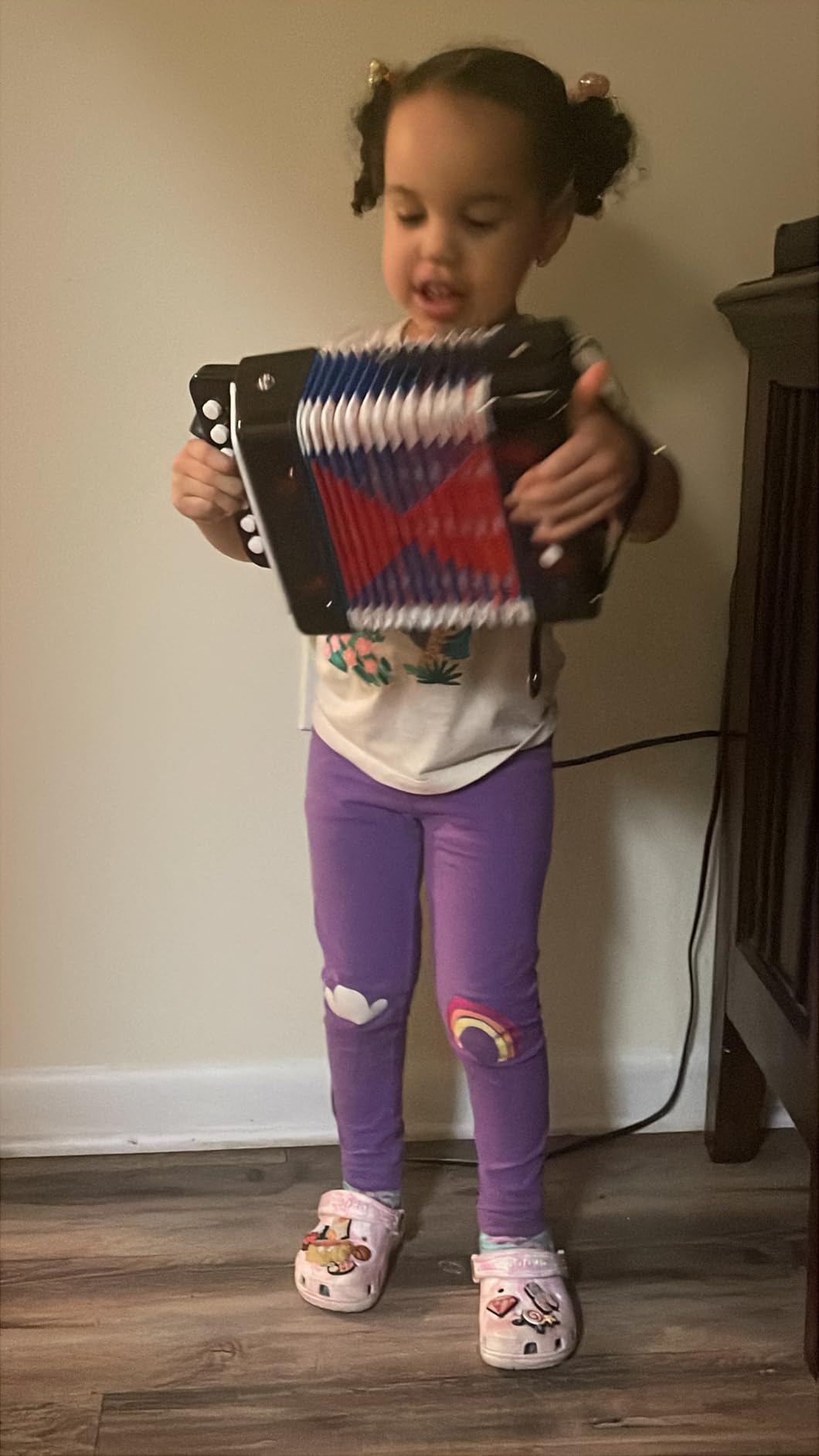 Lotkey 17 Key Piano Accordion, 8 Bass Kids Accordion, Celluloid Body, Metal Cover Accordions Louder Clearer Timbre Than Plastic, Lightweight Design for Children, Beginners to Practice (Black) customer photo 1